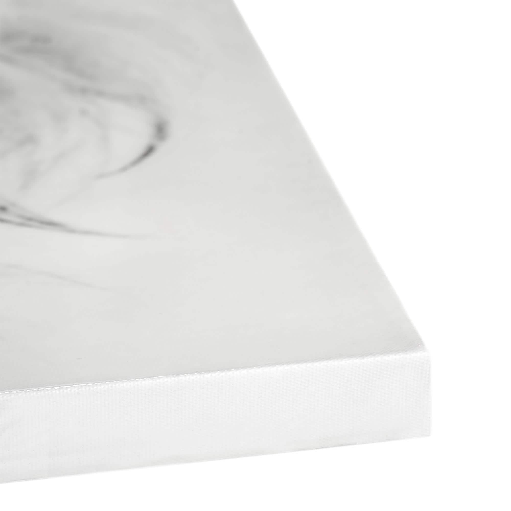 Regal Lion Black & White Glossy Wall Art