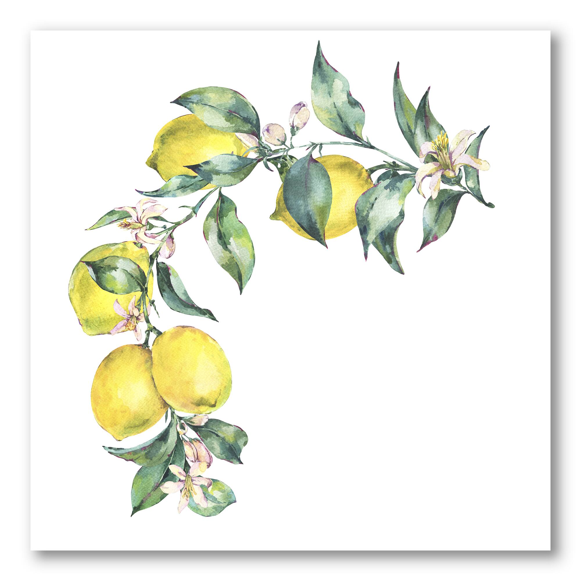 Designart - Branch of Yellow Lemons and Leaves II