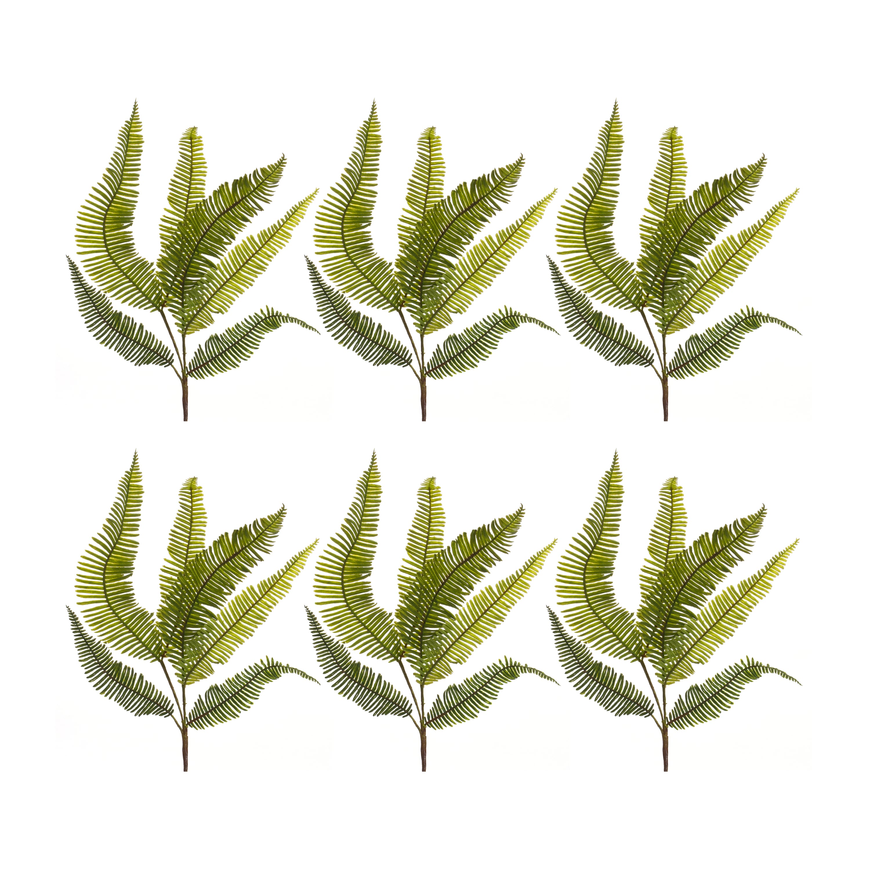 Fern Spray, 6ct.