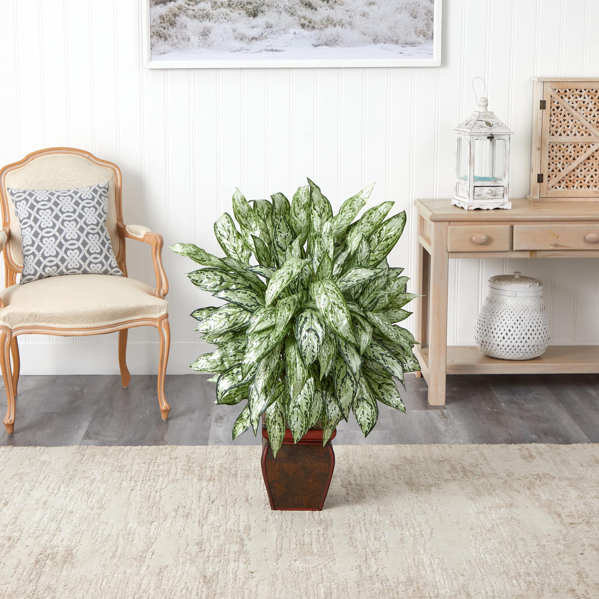 3ft. Silver Queen with Decorative Planter