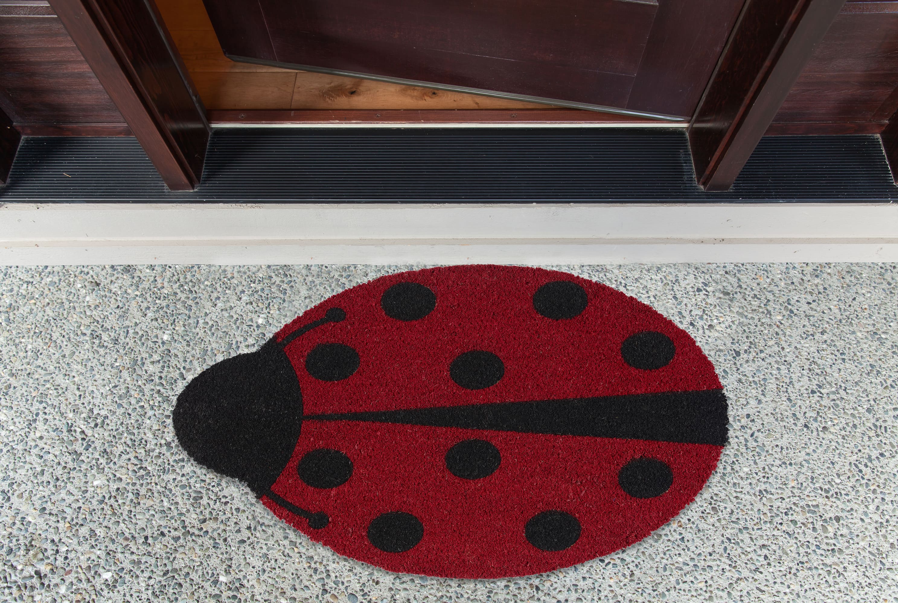 DII® Lady Bug Doormat