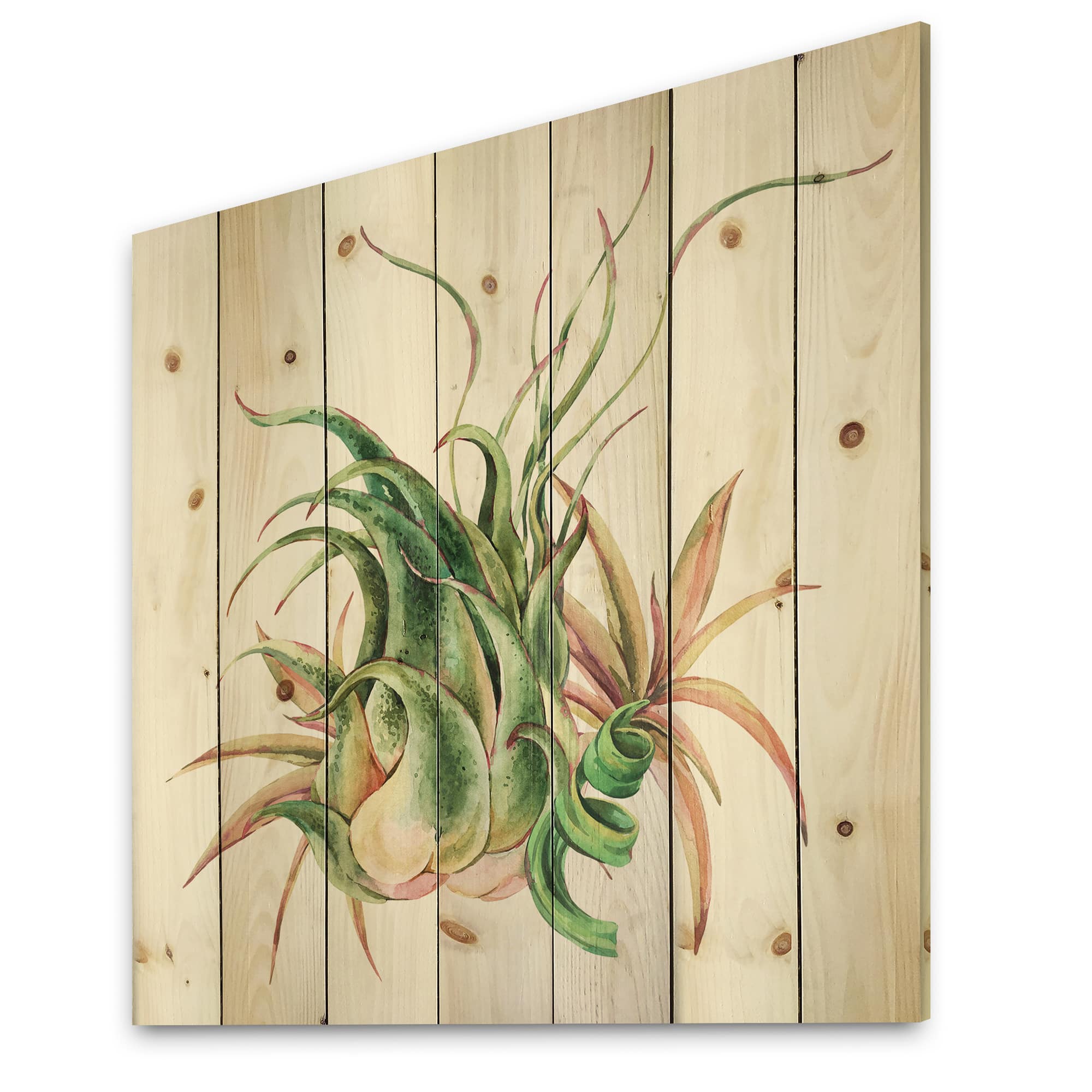Designart - Tropical Leaves Air Plant Succulent - Farmhouse Print on Natural Pine Wood