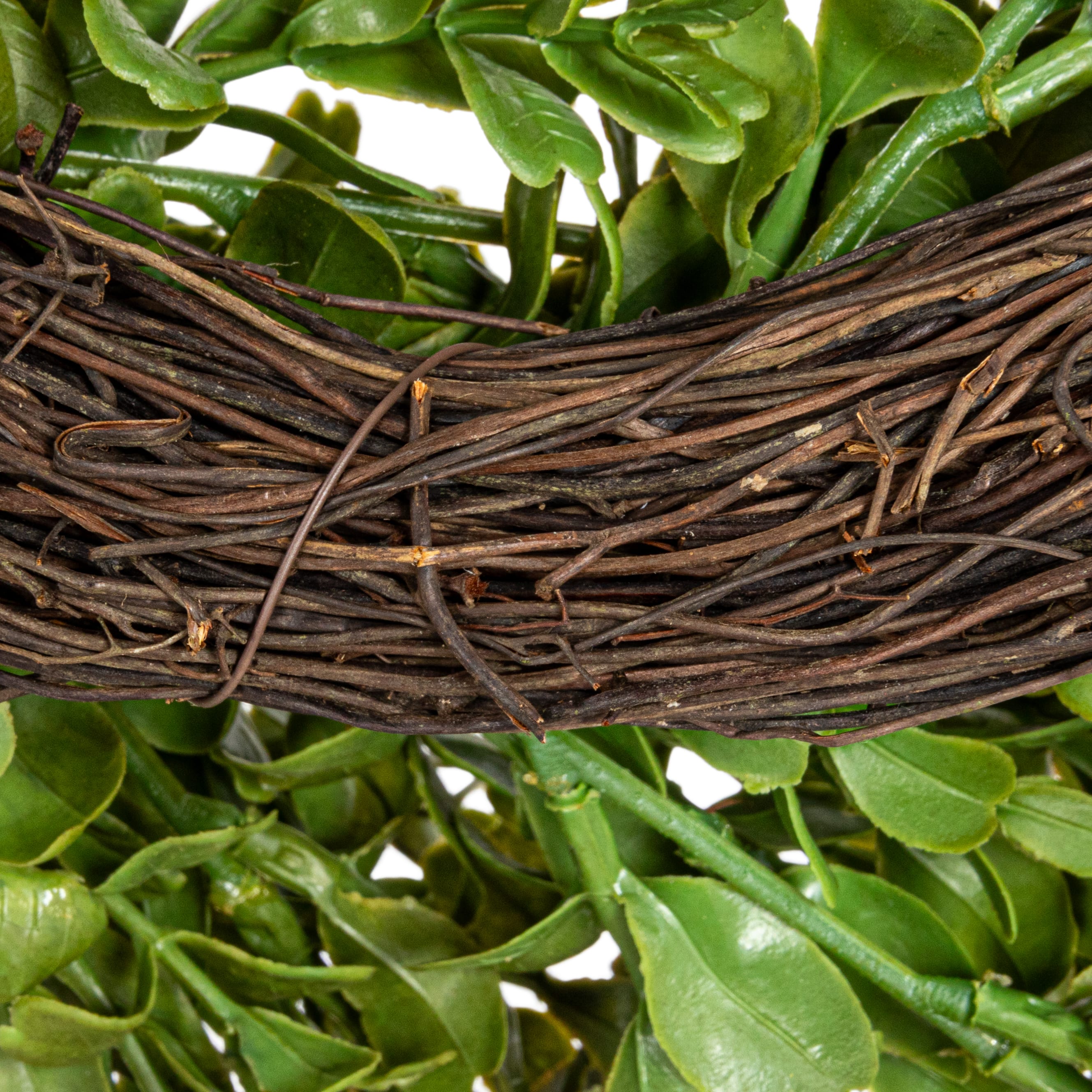 Hello Honey® 13" Green Boxwood Wreath