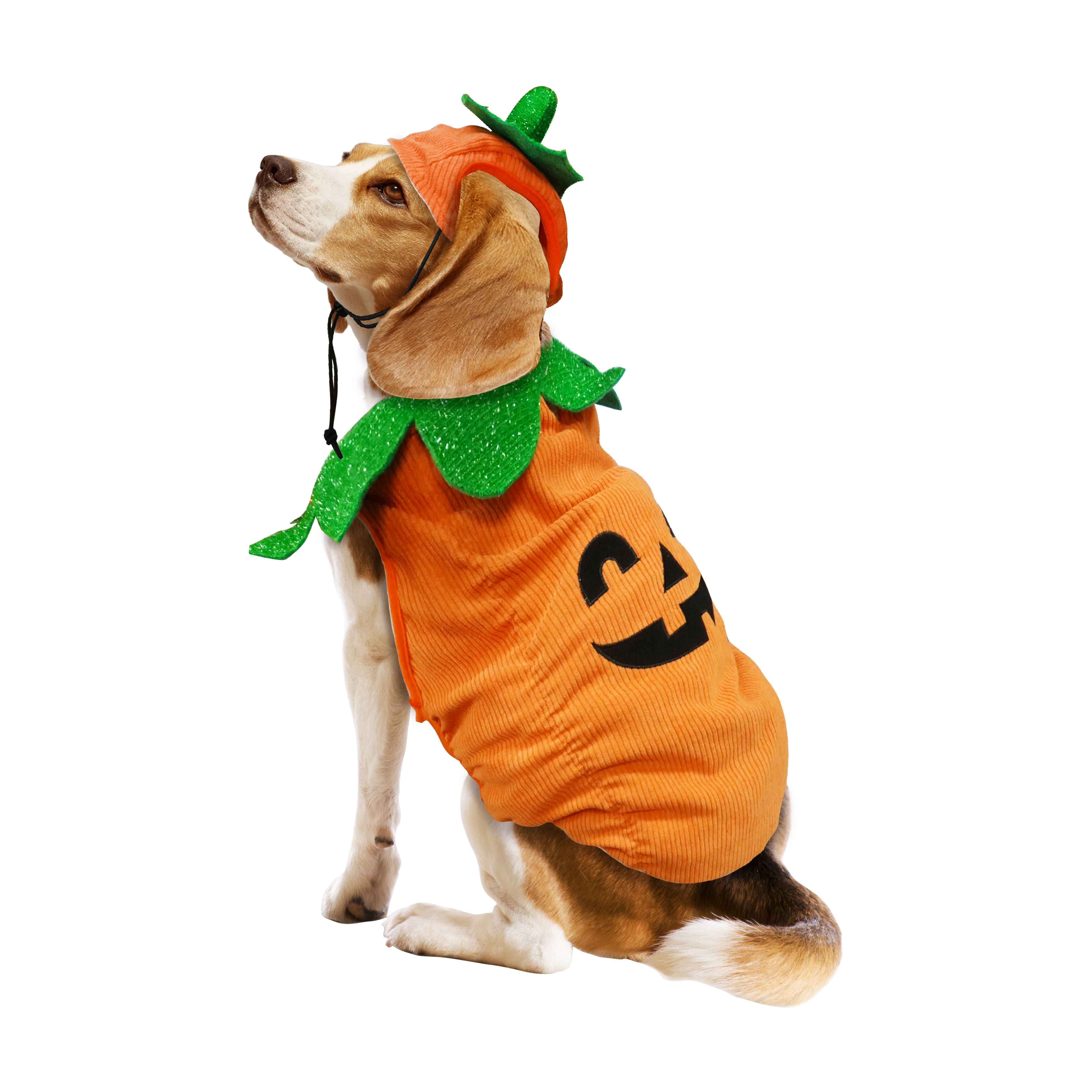 Best Furry Friends Jack-o'-Lantern Pumpkin Pet Costume