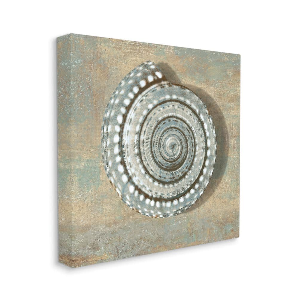 Stupell Industries Spiral Shell Beach Objects Design Canvas Wall Art
