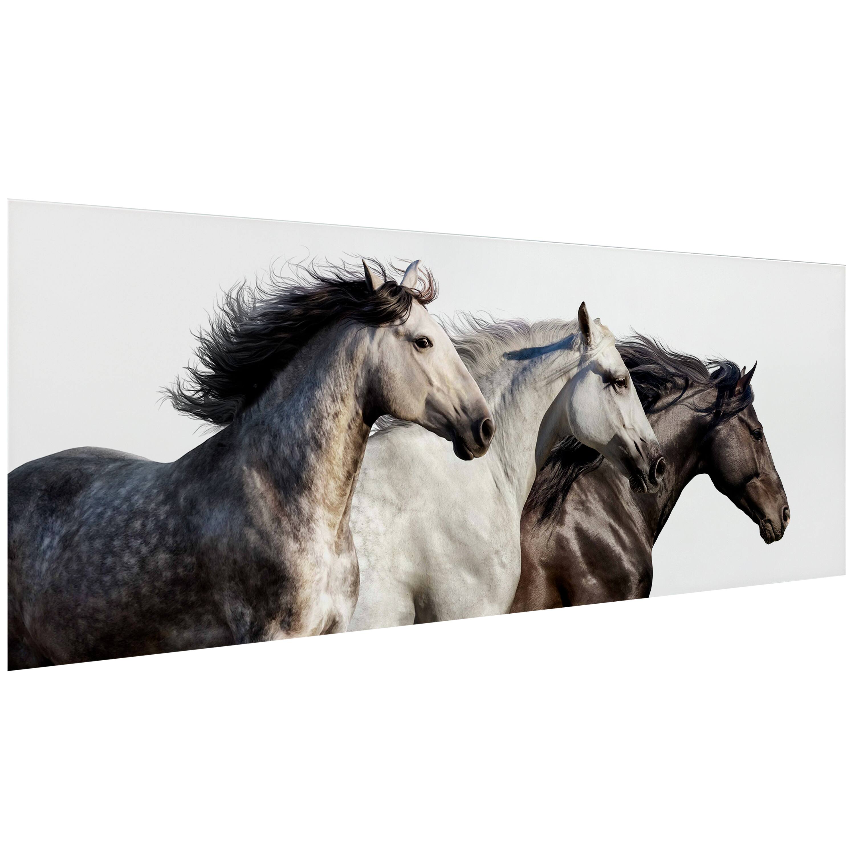 Empire Art Direct 63" x 24" Horse Trilogy 1 Frameless Free Floating Printed Tempered Glass Wall Art