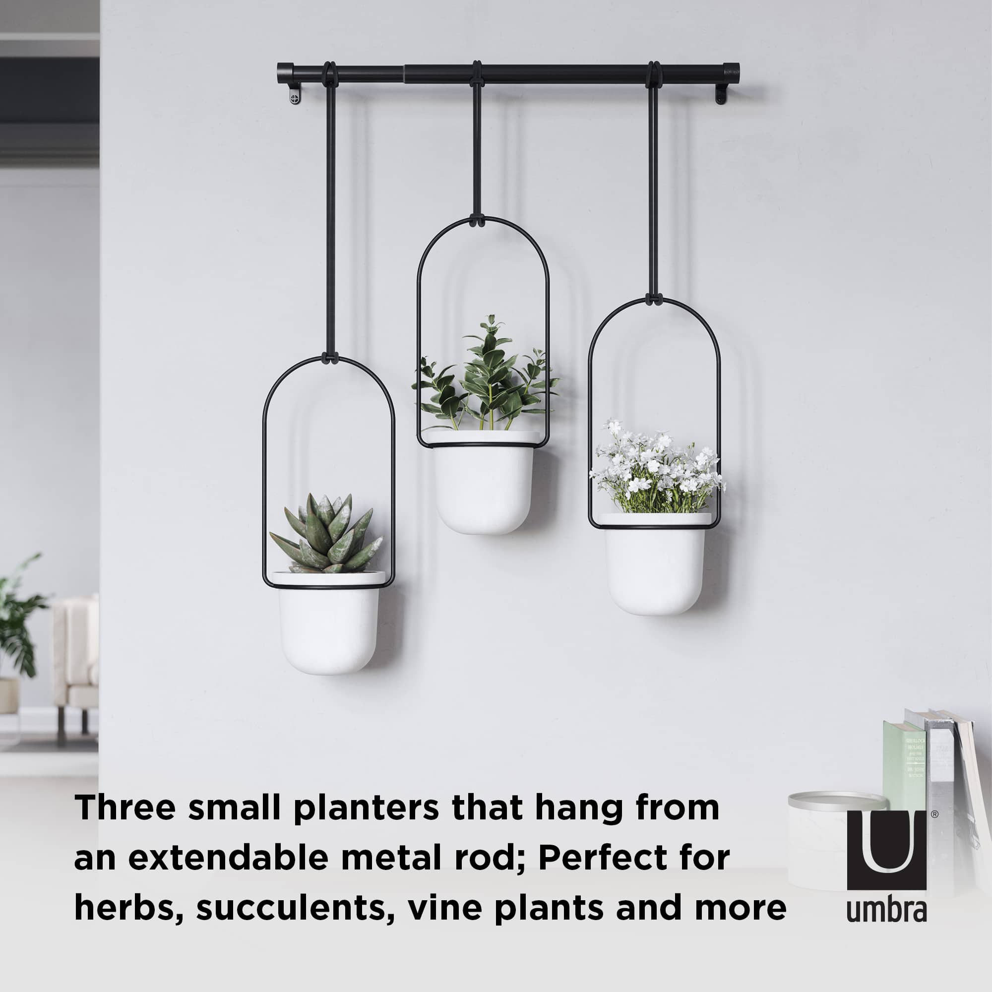 Umbra White & Black Triflora Hanging Planter Set