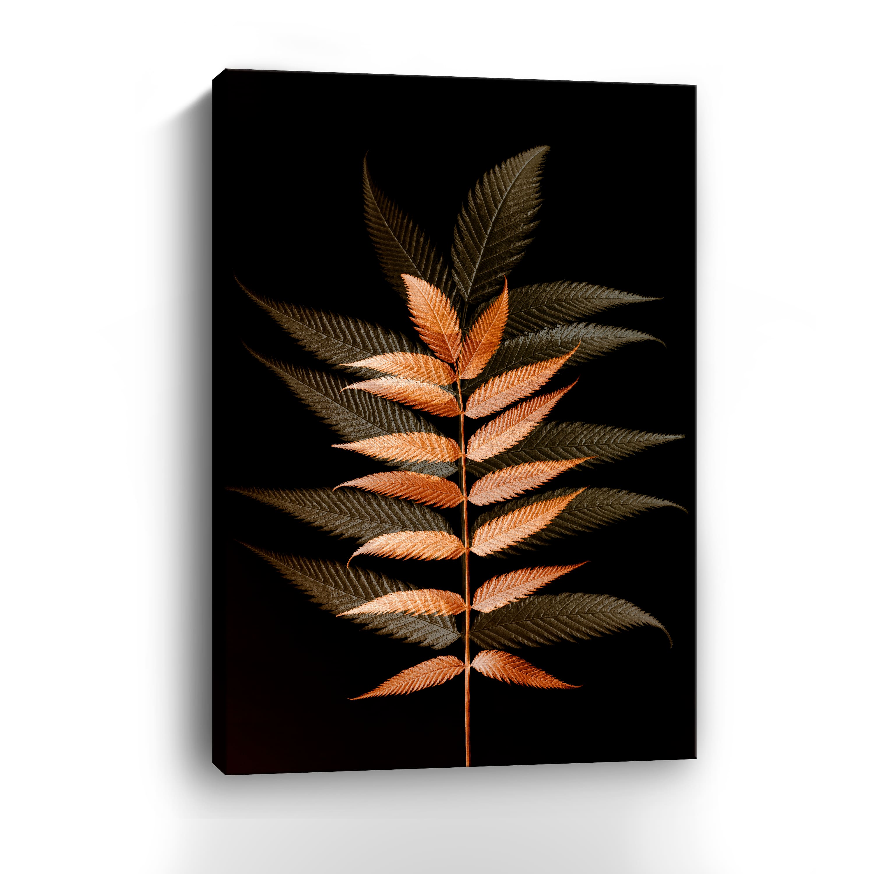 Fall Leaves 6 Canvas Giclee
