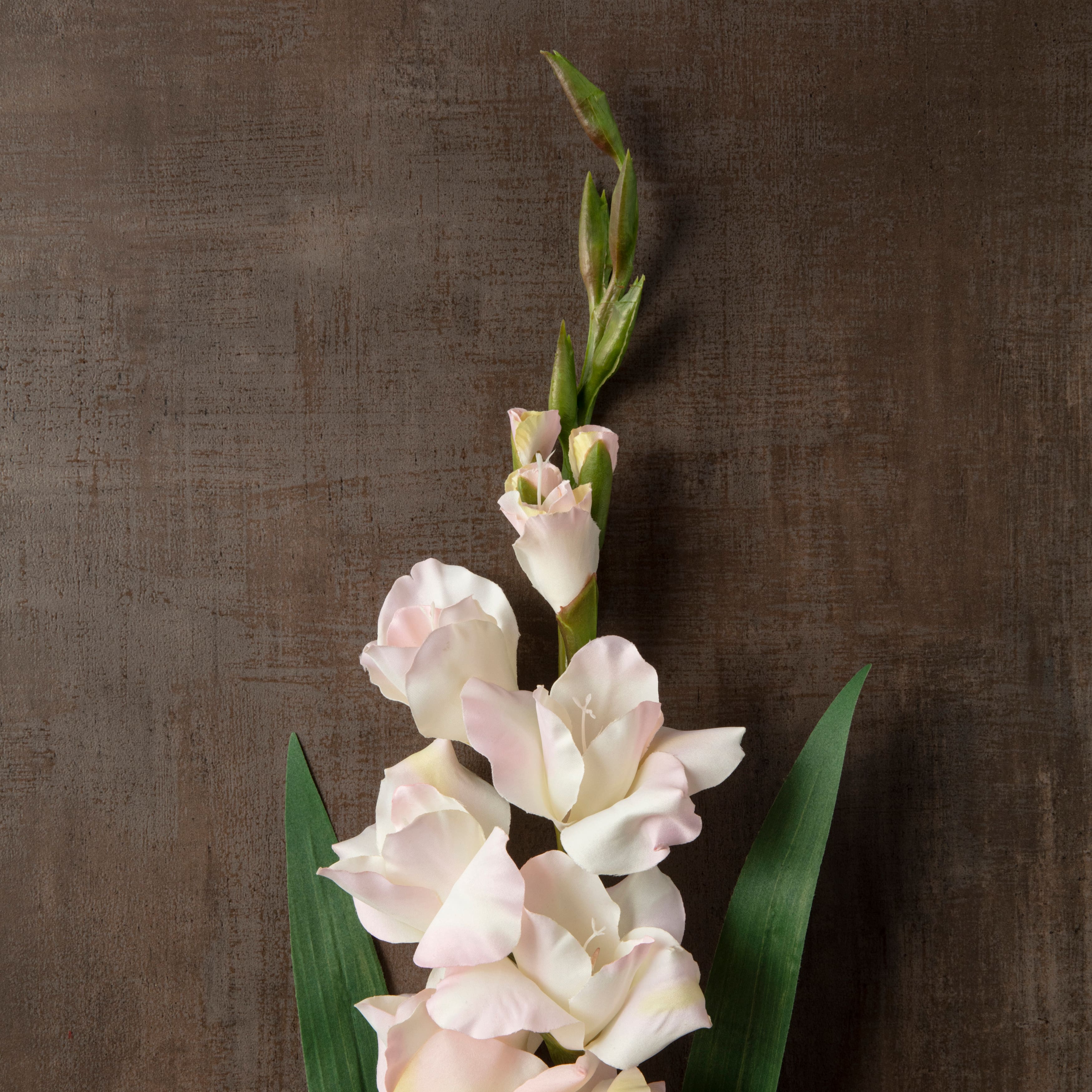 12 Pack: White Gladiolus Stem by Ashland®