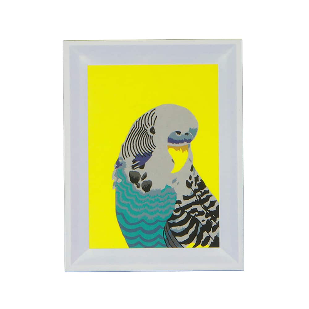 Jonathan Adler x Michaels 5" x 7" Parrot Paint-By-Number Framed Kit