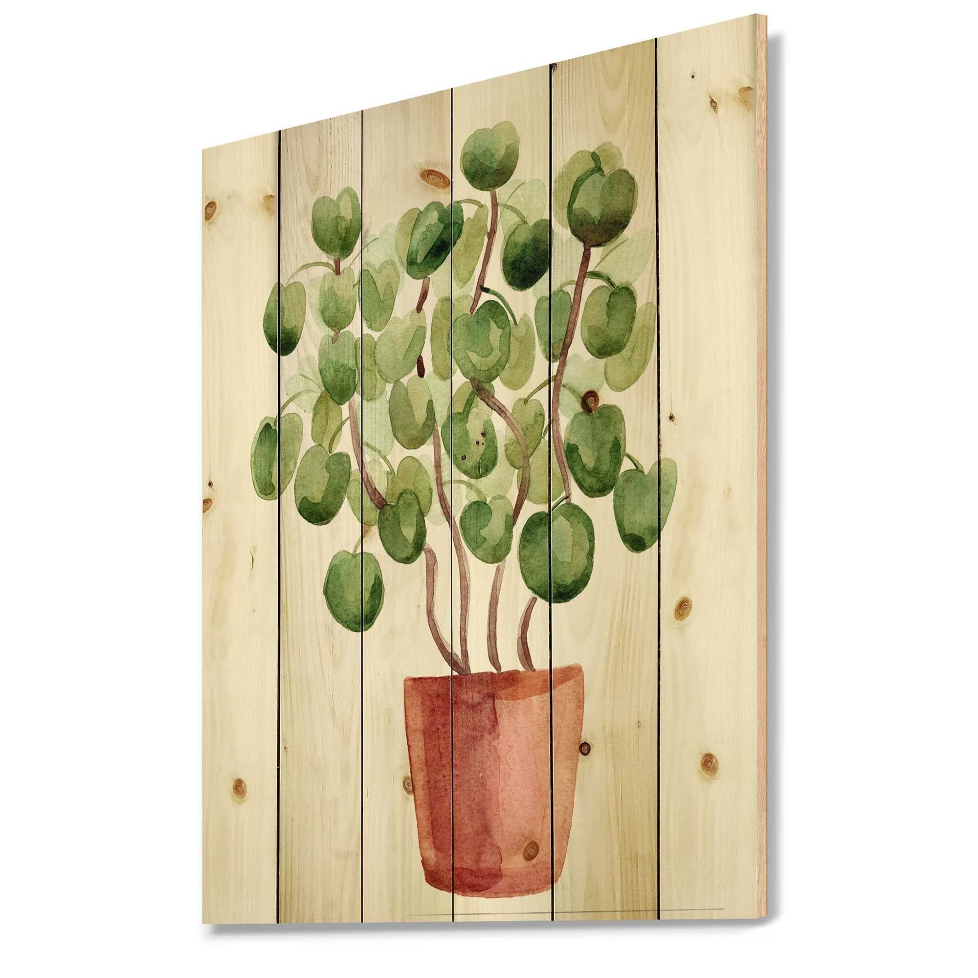Designart - Chinese Money Plant In Pot - Traditional Print on Natural Pine Wood