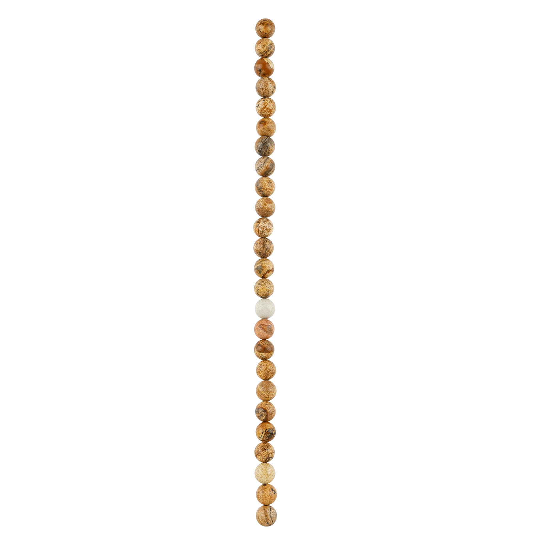 12 Pack: Brown Picture Jasper Round Beads by Bead Landing