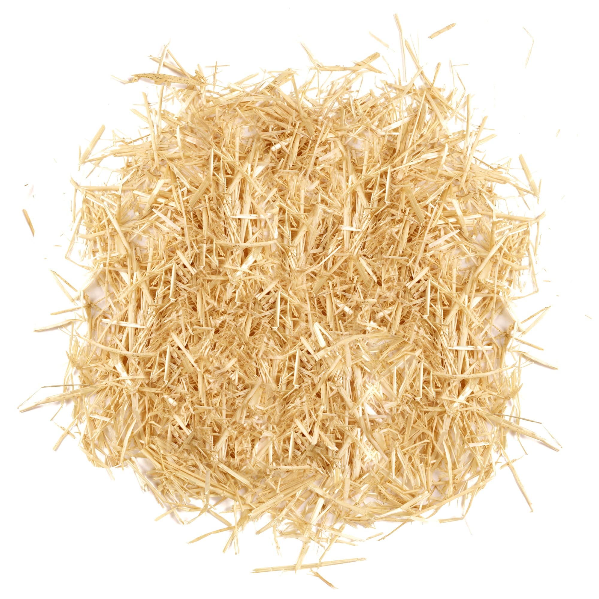 FloraCraft® 4oz. Natural Decorative Nativity Straw