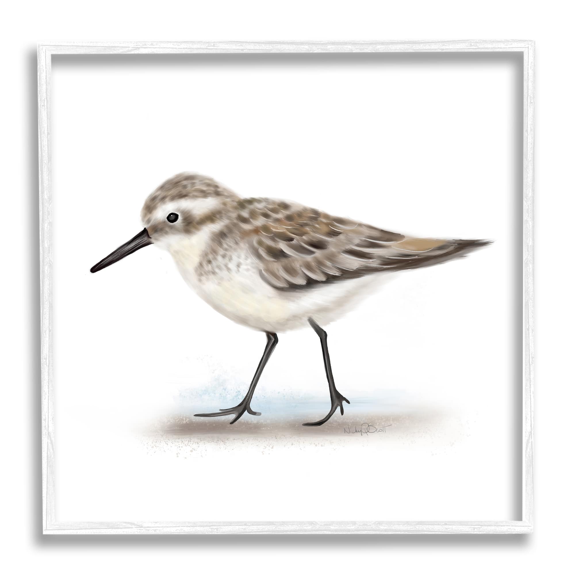 Stupell Industries Nautical Sandpiper Bird on Sand Speckled Feathers in White Frame Wall Art