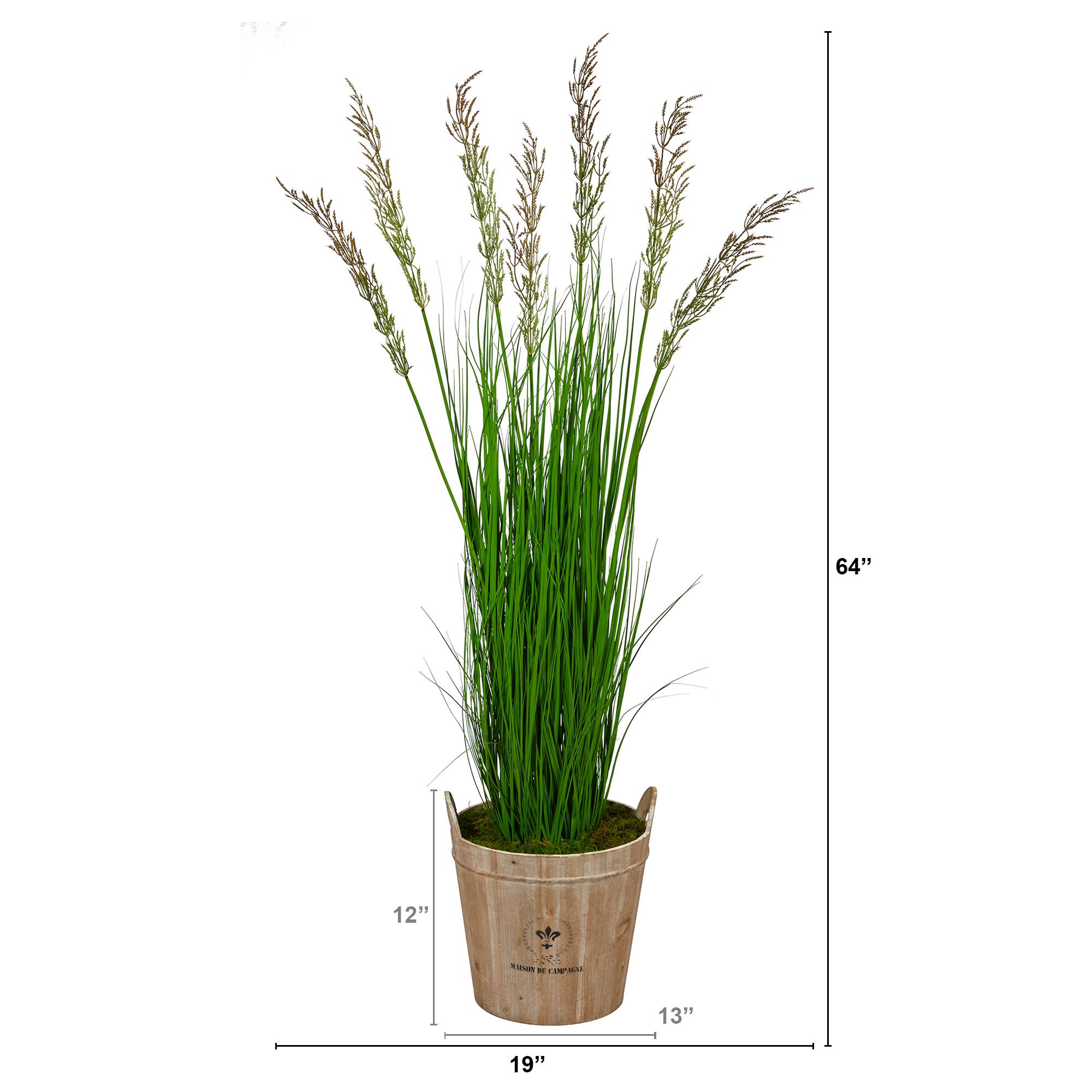5.3ft. Wheat Grass Plant in Farmhouse Planter