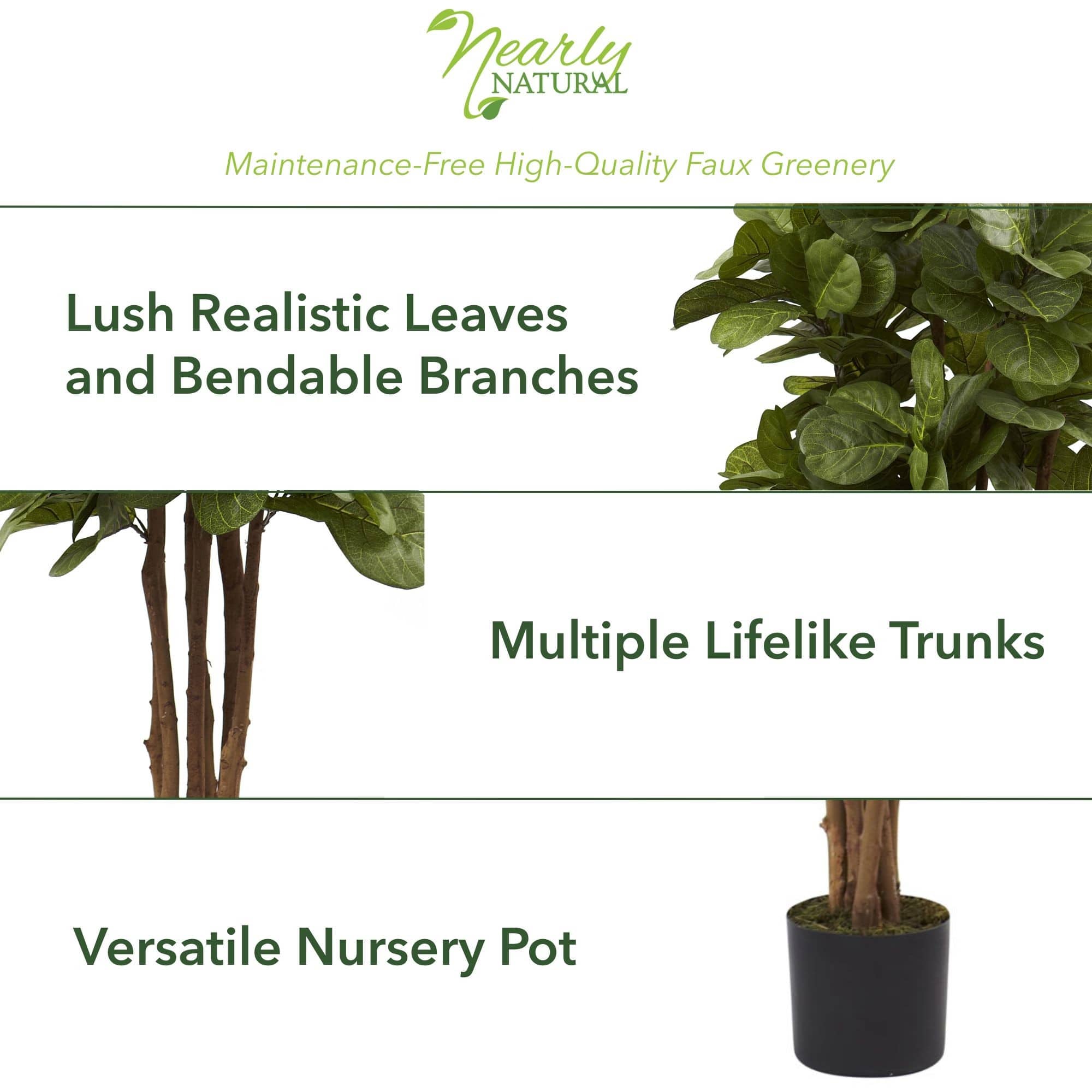 5ft. Potted Fiddle Leaf Fig Tree