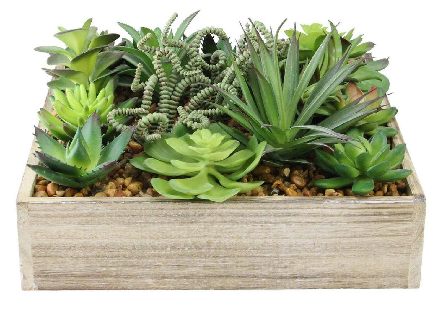 10" Green Artificial Succulent Arrangement in Garden Box