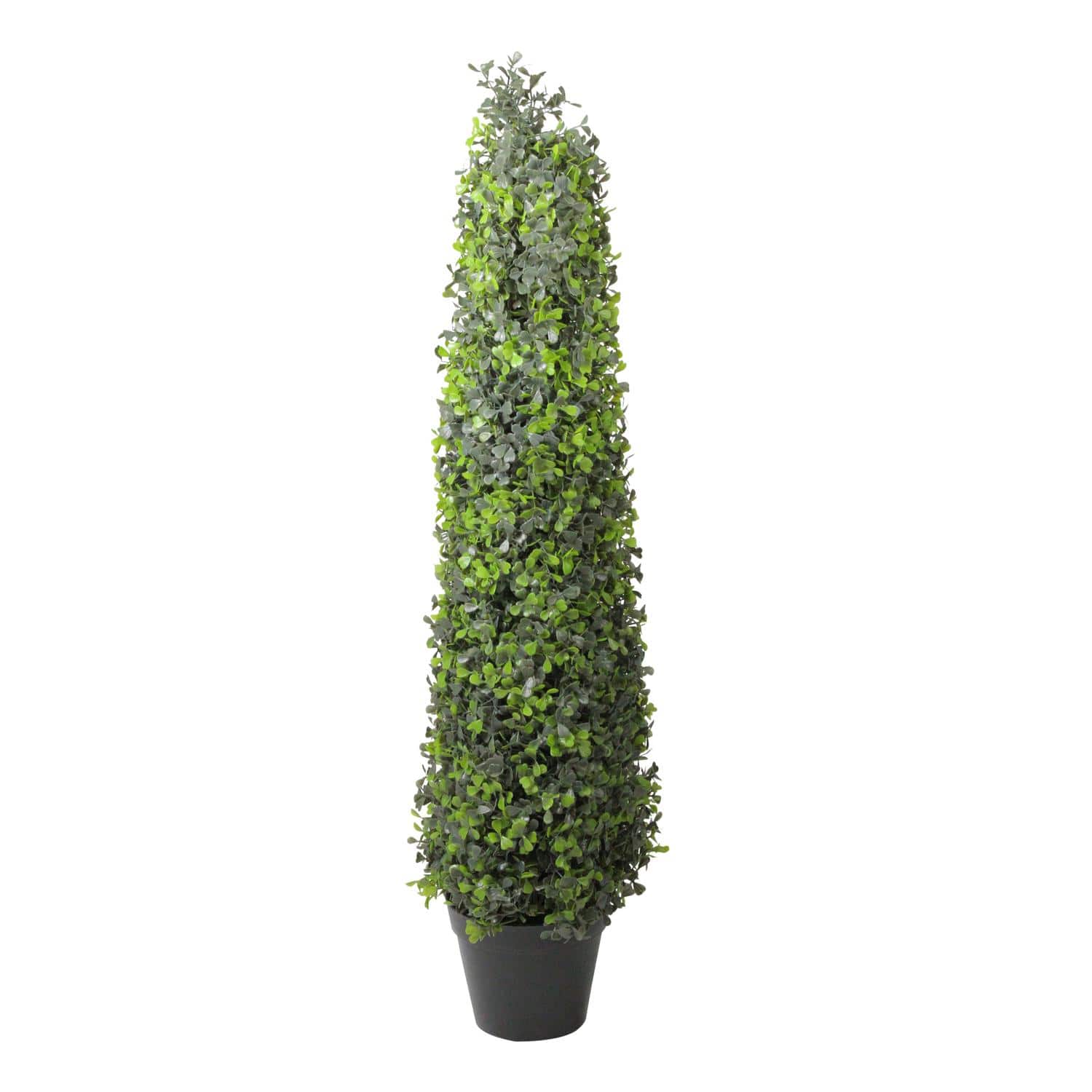 36" Two Toned Conical Shaped Shrub Potted Topiary