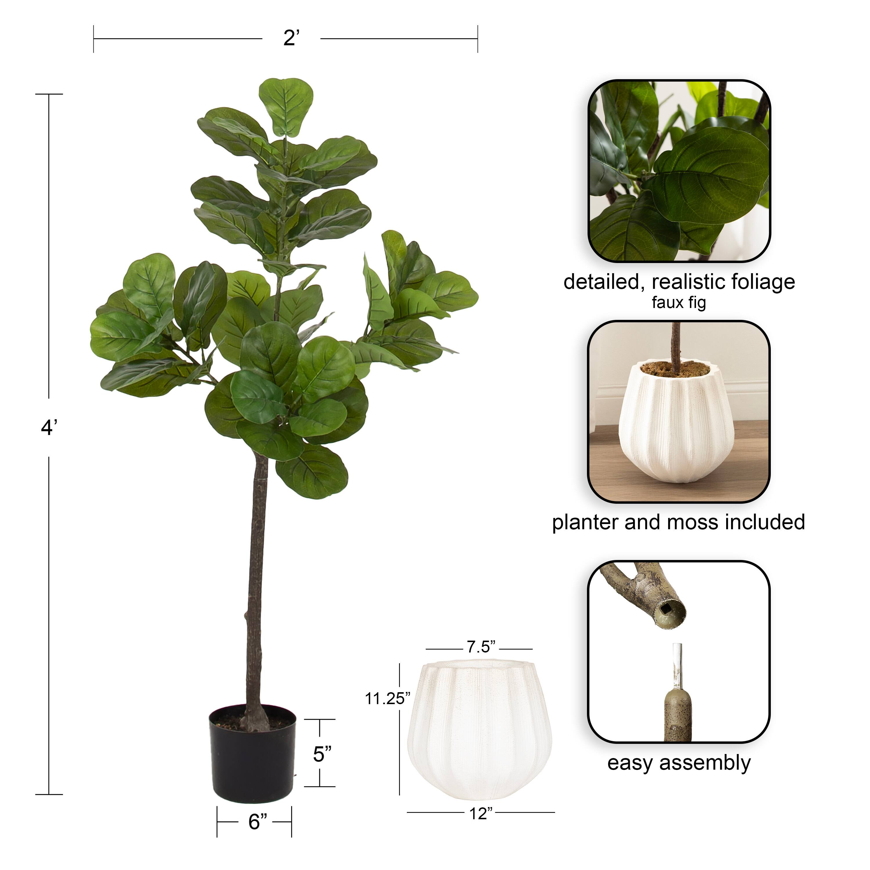 Kate and Laurel 4ft. Fidmont Faux Fiddle Fig Tree in Claudel Scalloped Planter
