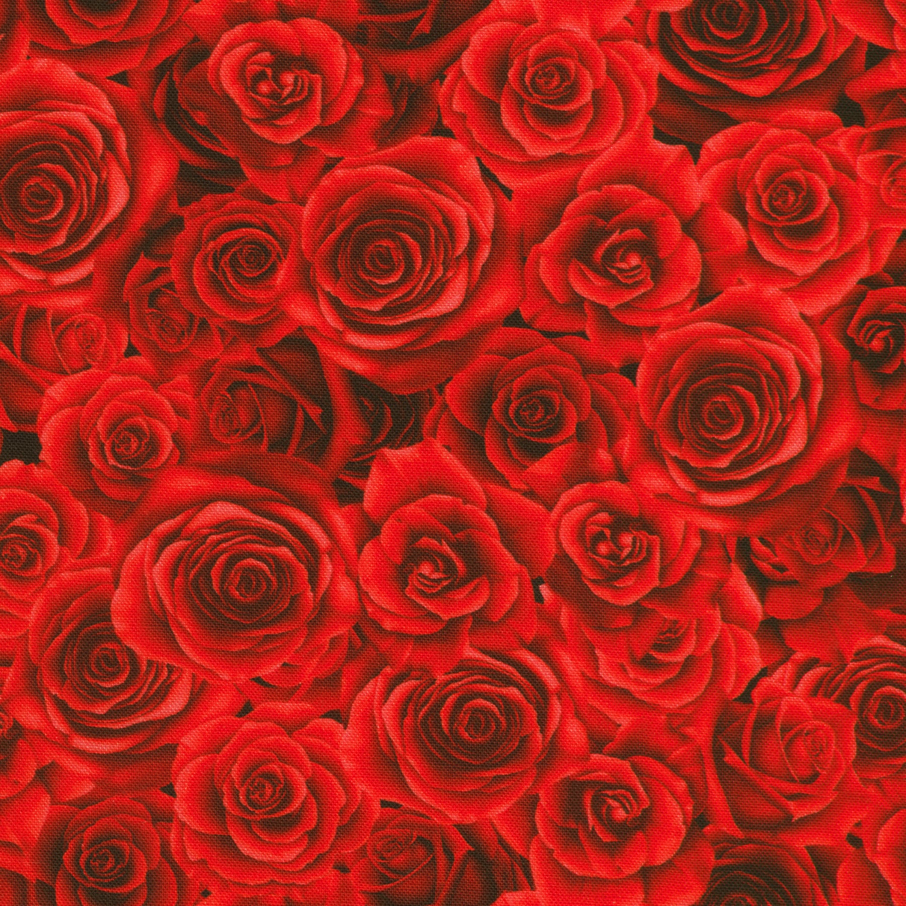 Robert Kaufman Red Velvet Roses Cotton Quilting Fabric