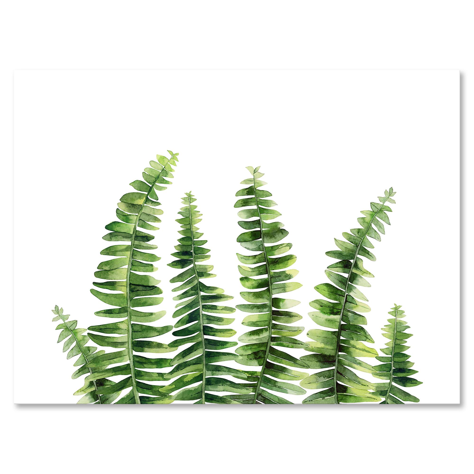 Designart - Fern Leaves Detail II
