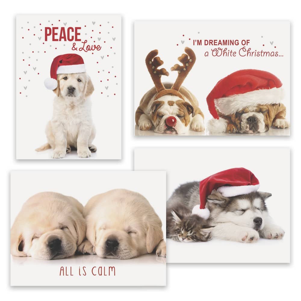JAM Paper Puppy Love Holiday Assortment Cards & Matching Envelopes Set, 16ct.