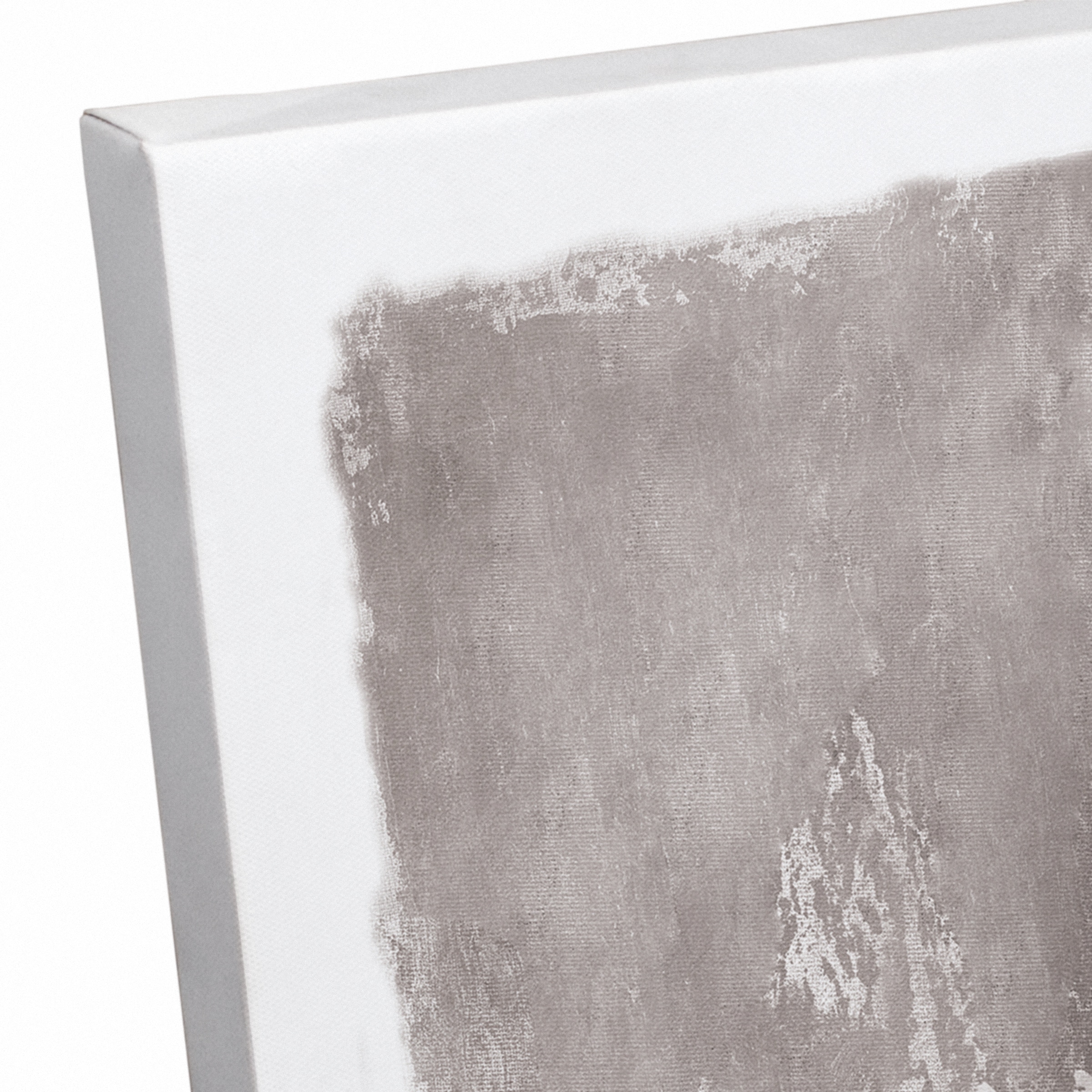 Soft Pampas Grass 24" x 30" Canvas Wall Art