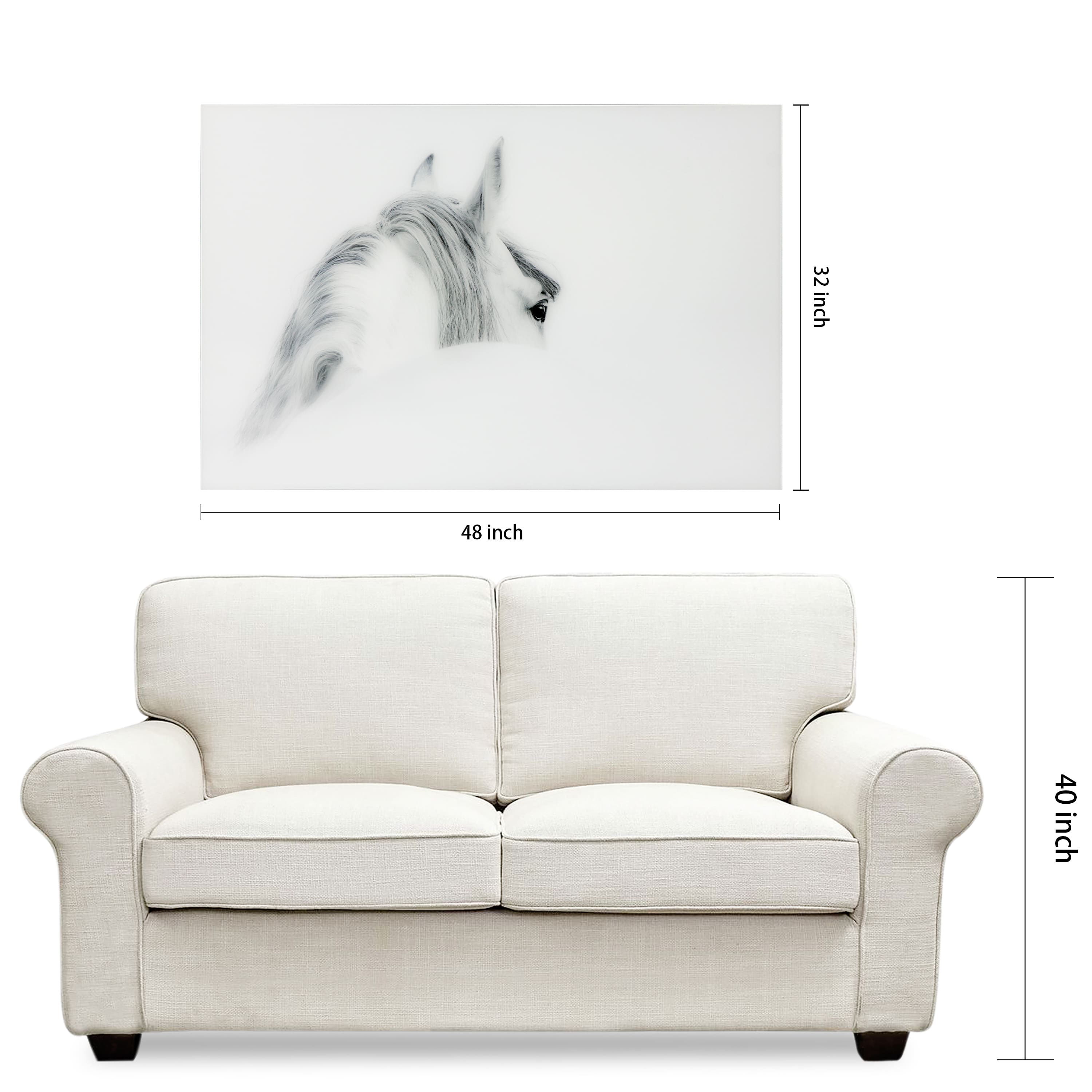 Empire Art Direct Vetro De Arte 48" x 32" Blanco Mare Horse Frameless Free Floating Printed Tempered Glass Wall Art