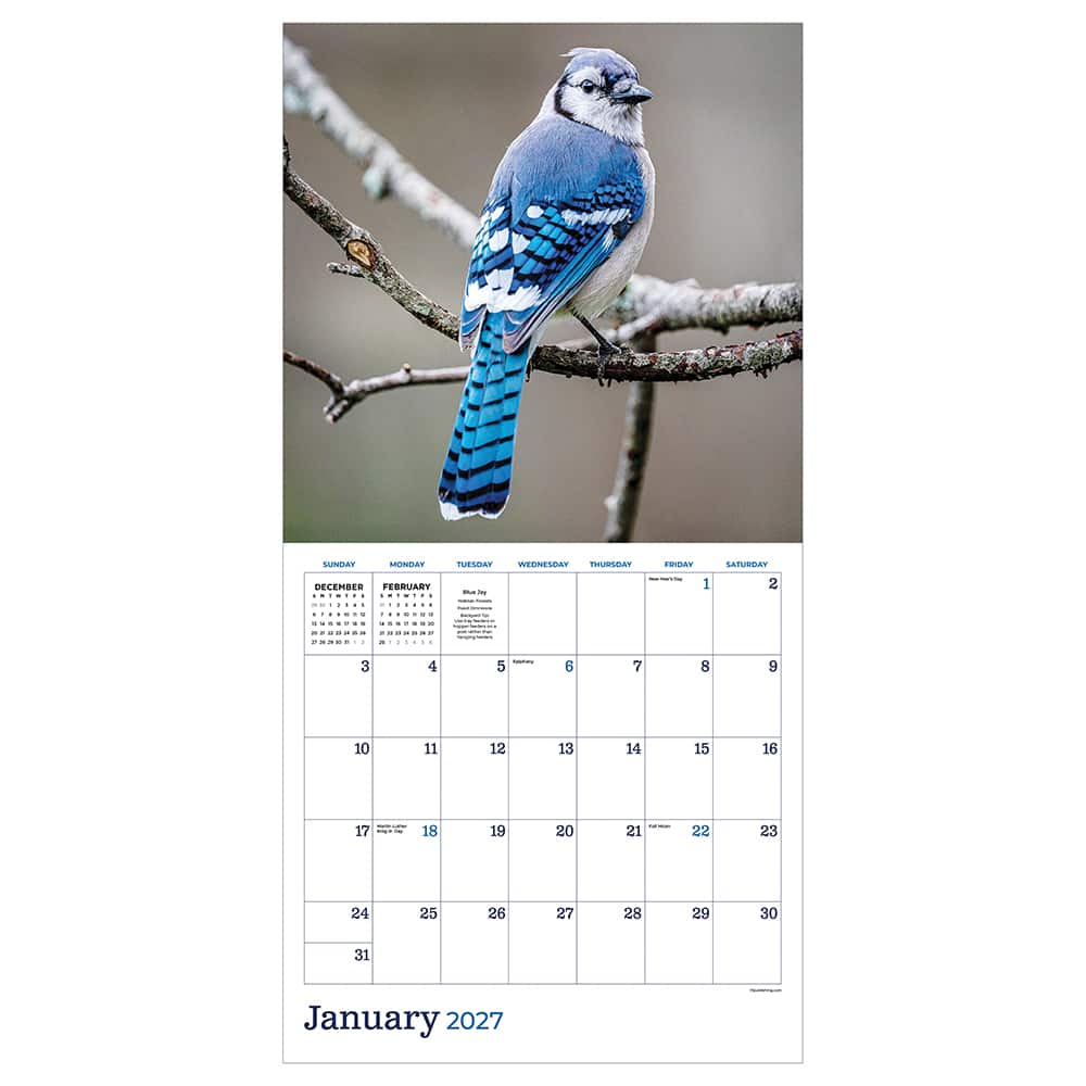 2027 Backyard Birds Wall Calendar