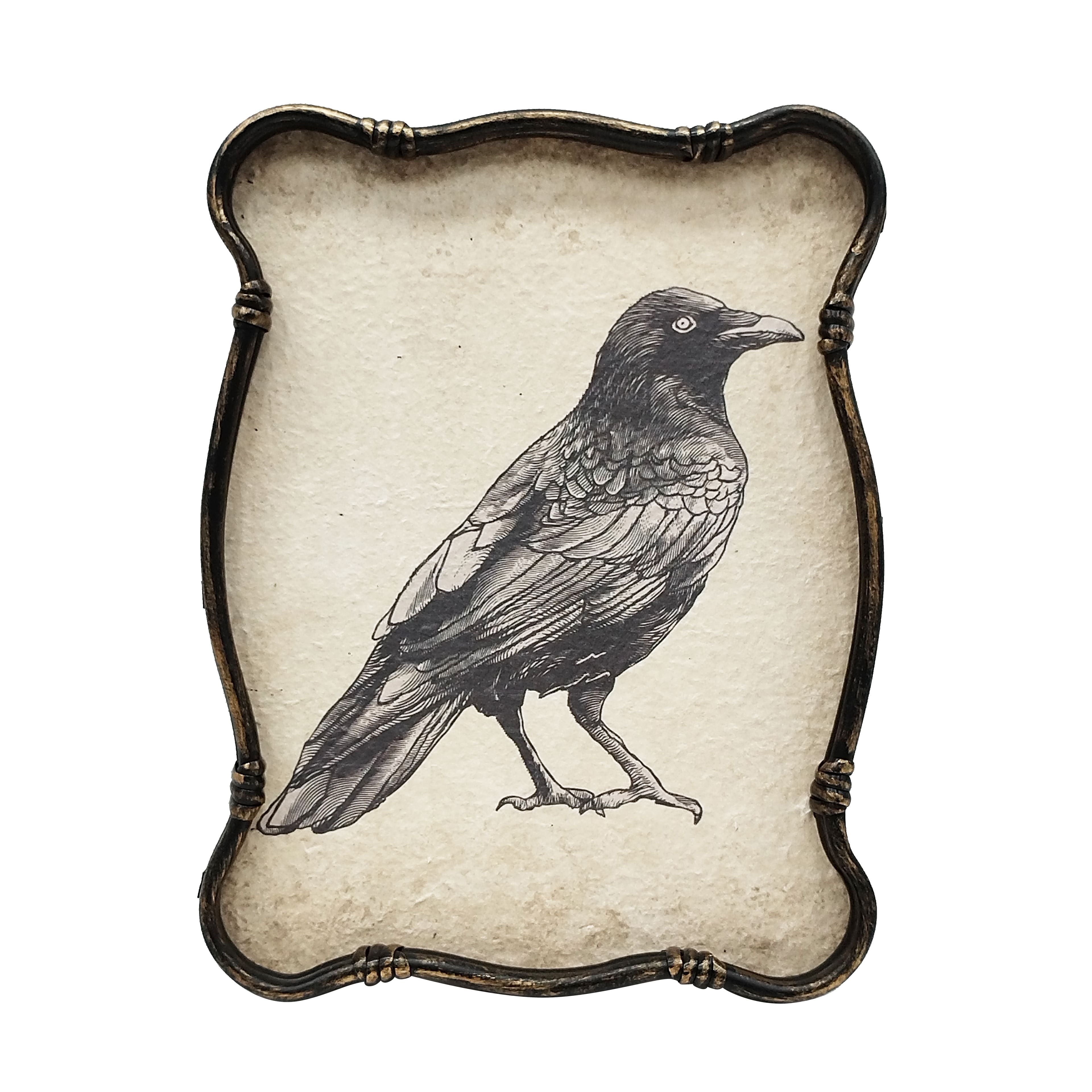 Assorted 12.5" Nightfall Creature Wall Art,1pc. by Ashland®