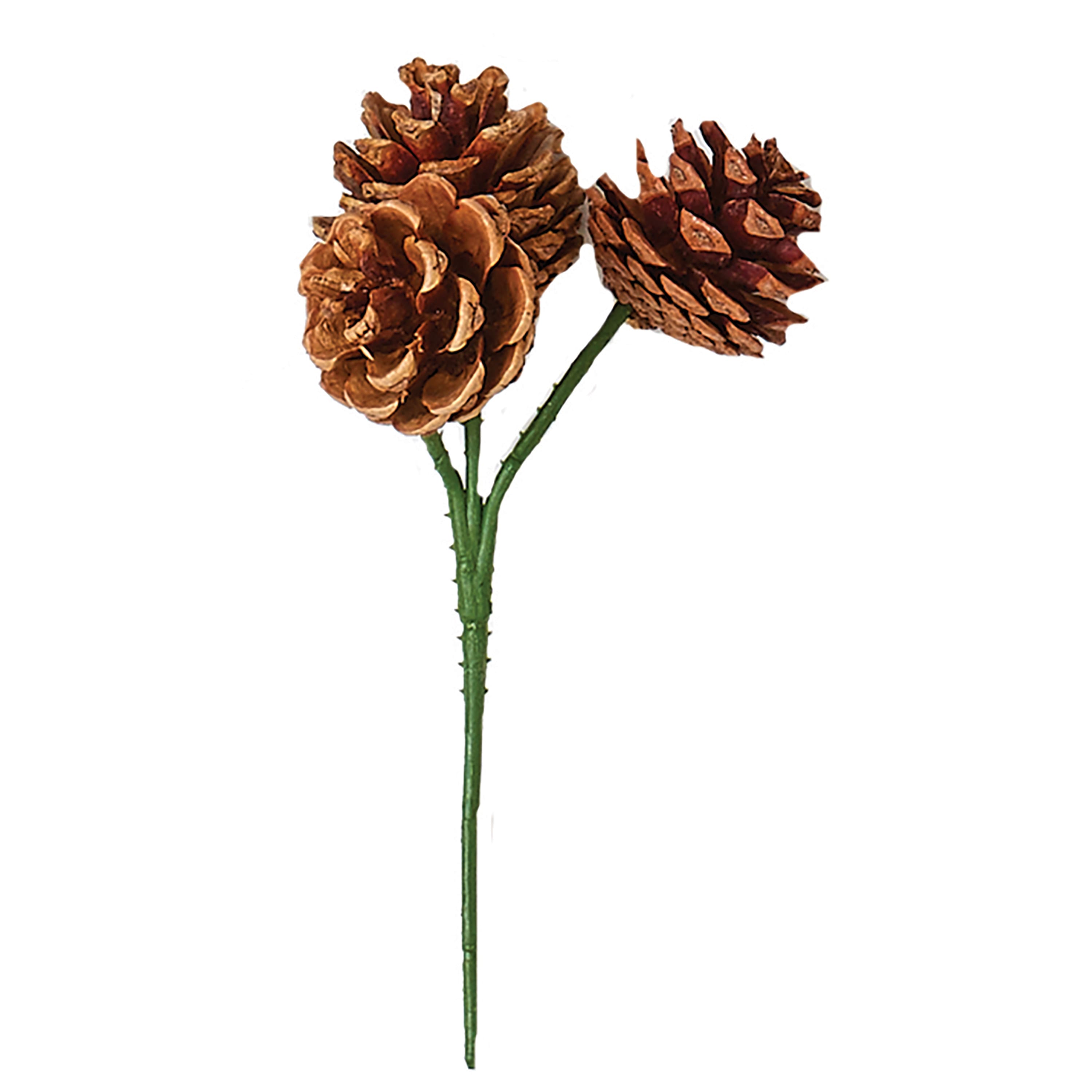 7" Natural Pinecone Picks