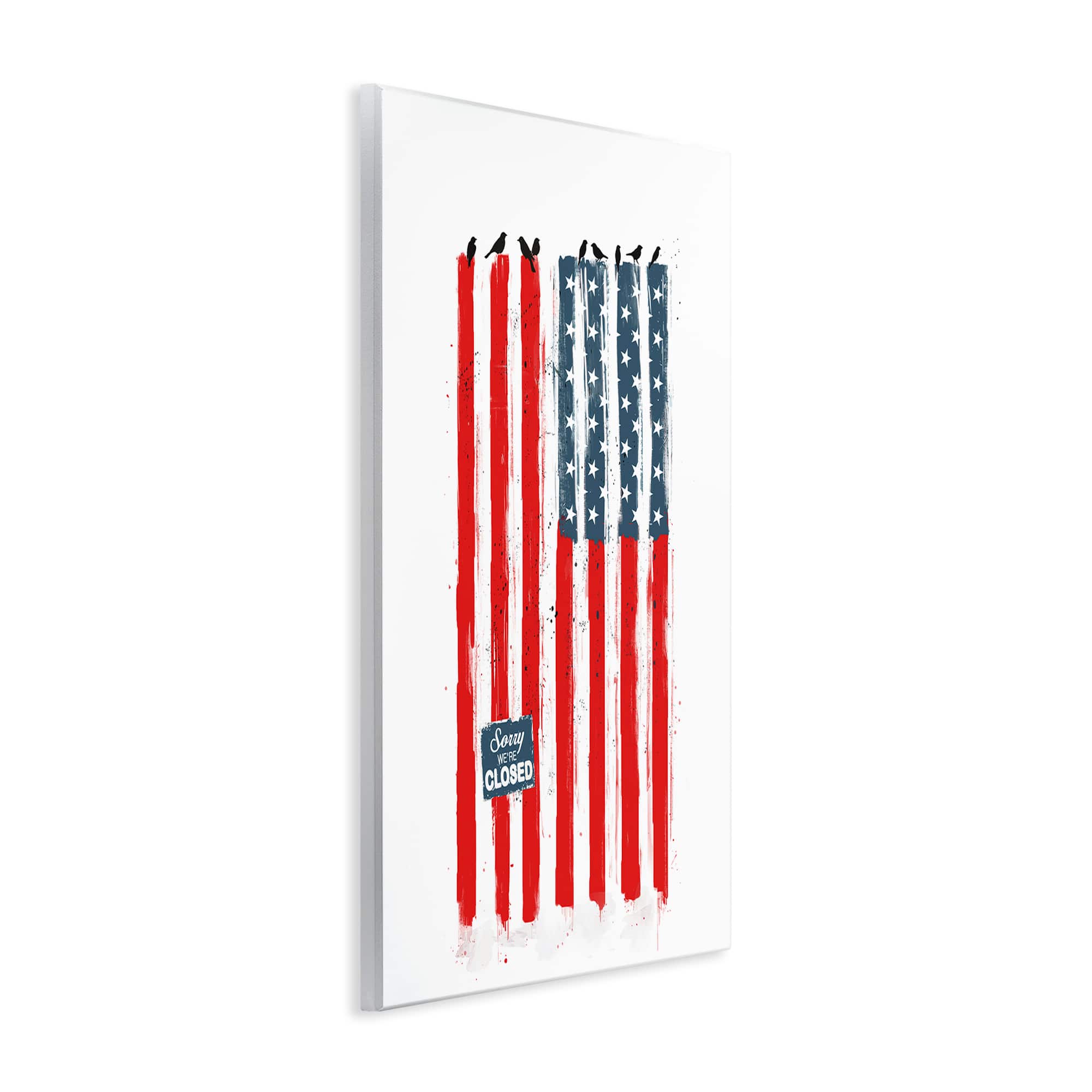 Stupell Industries American Flag Birds on Wall Political Statement Wall Plaque Art