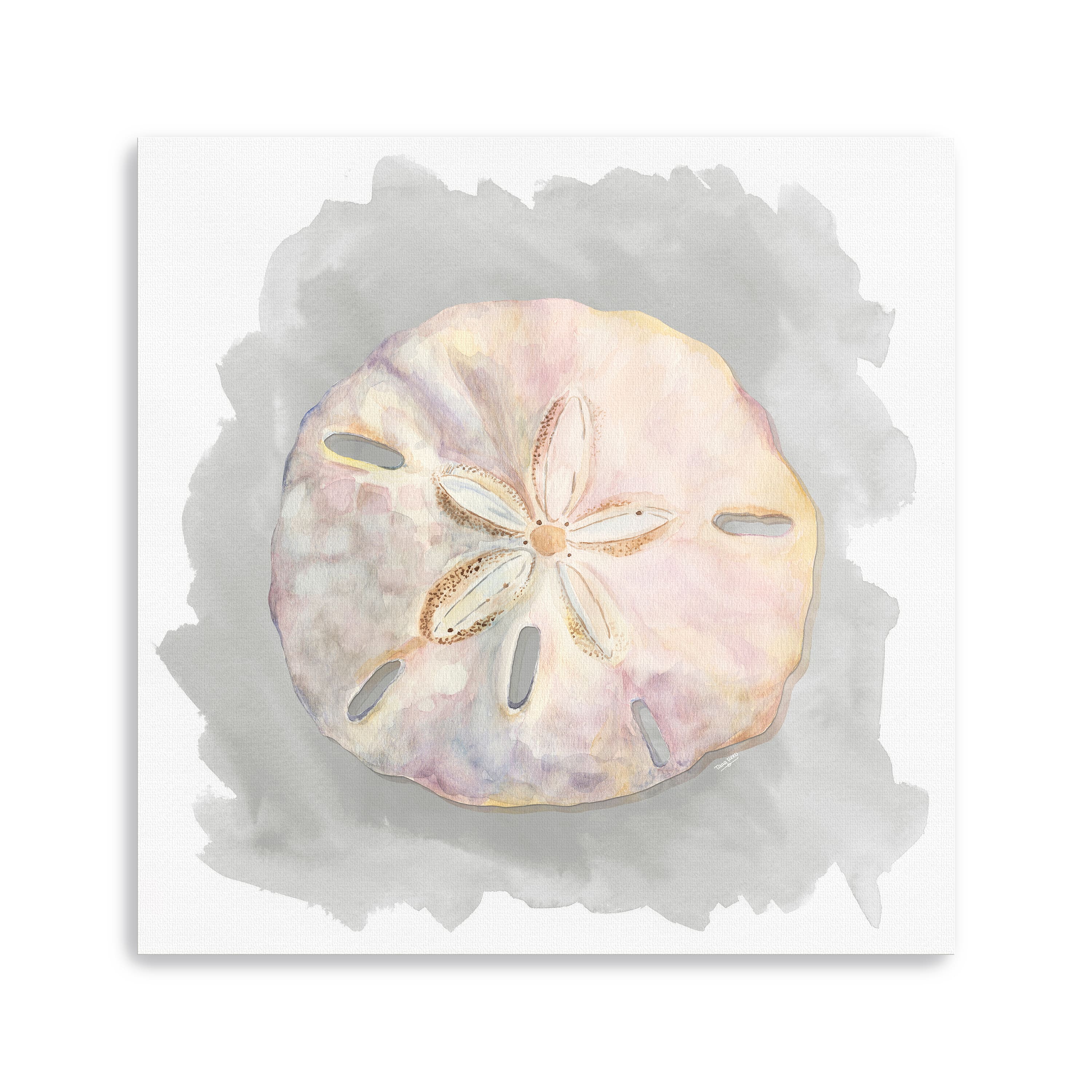 Shells On Grey IV Canvas Giclee