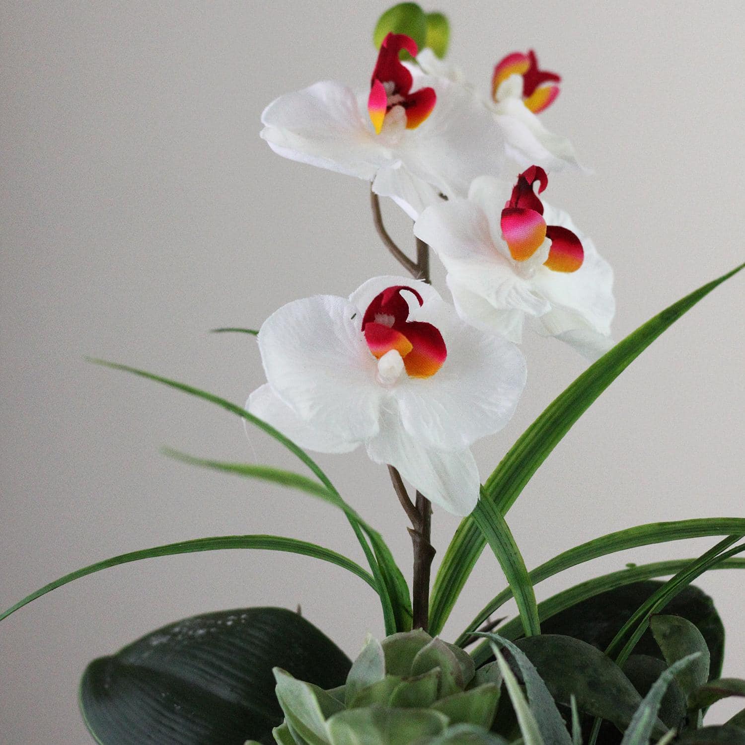 12" White Springtime Easter Orchid & Succulents Artificial Arrangement In Planter