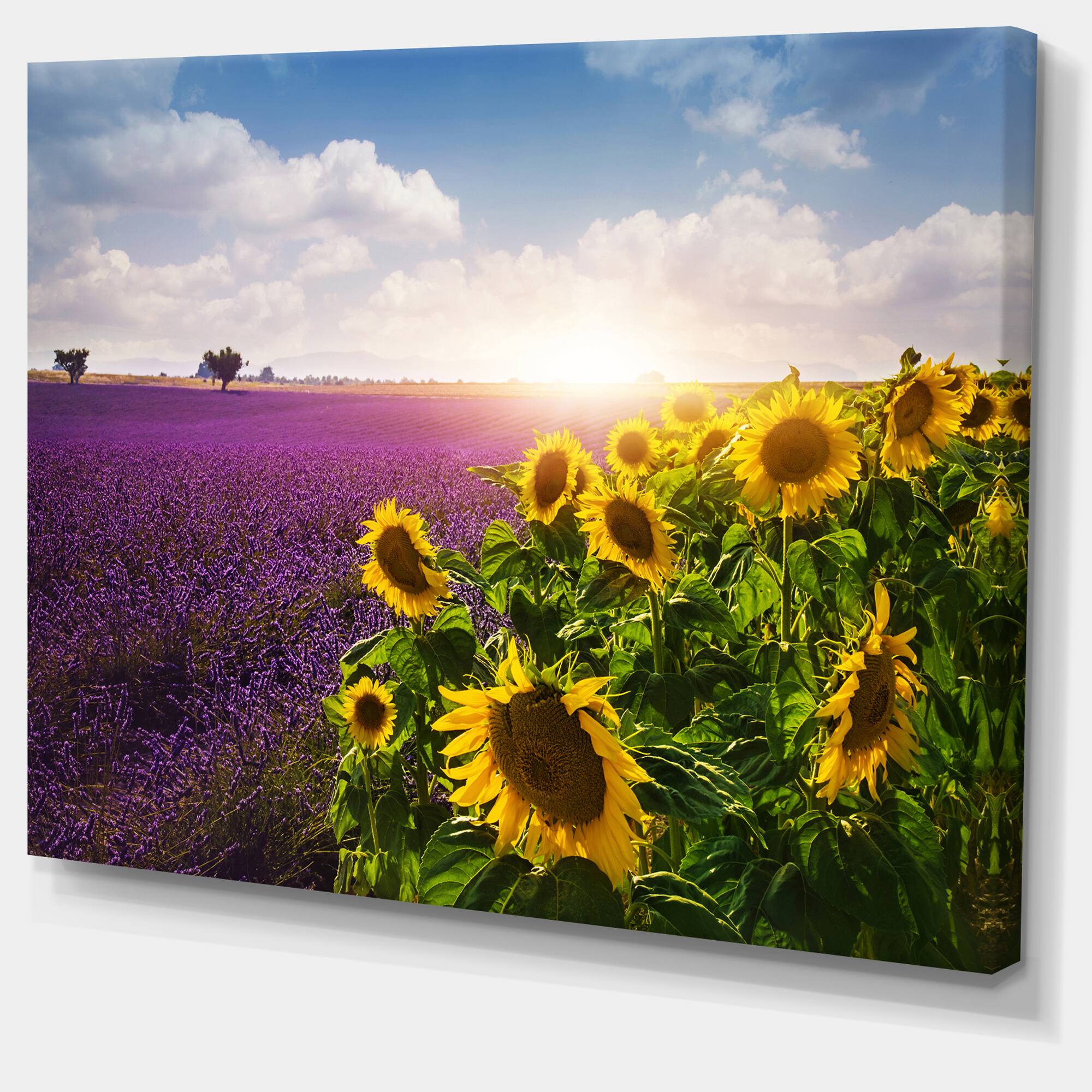 Designart - Lavender and Sunflower Fields