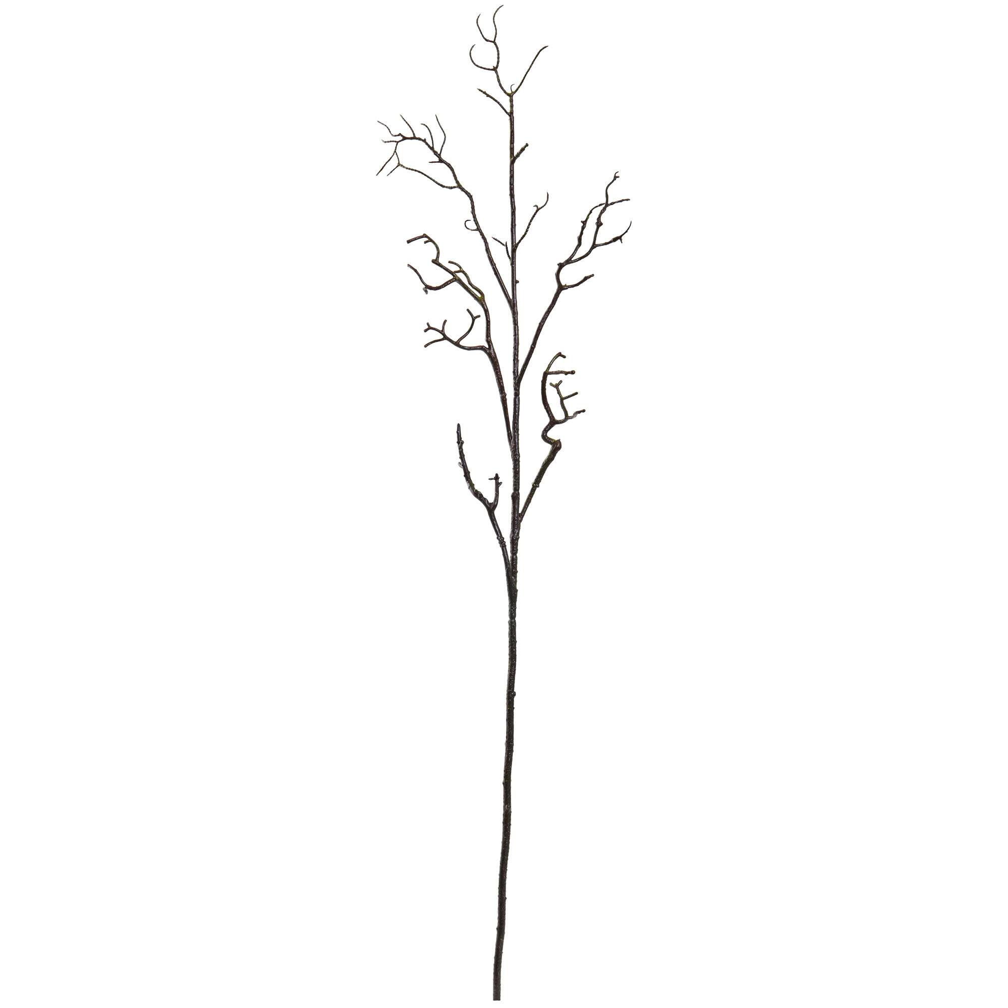 Brown Deadwood Stem, 6ct.