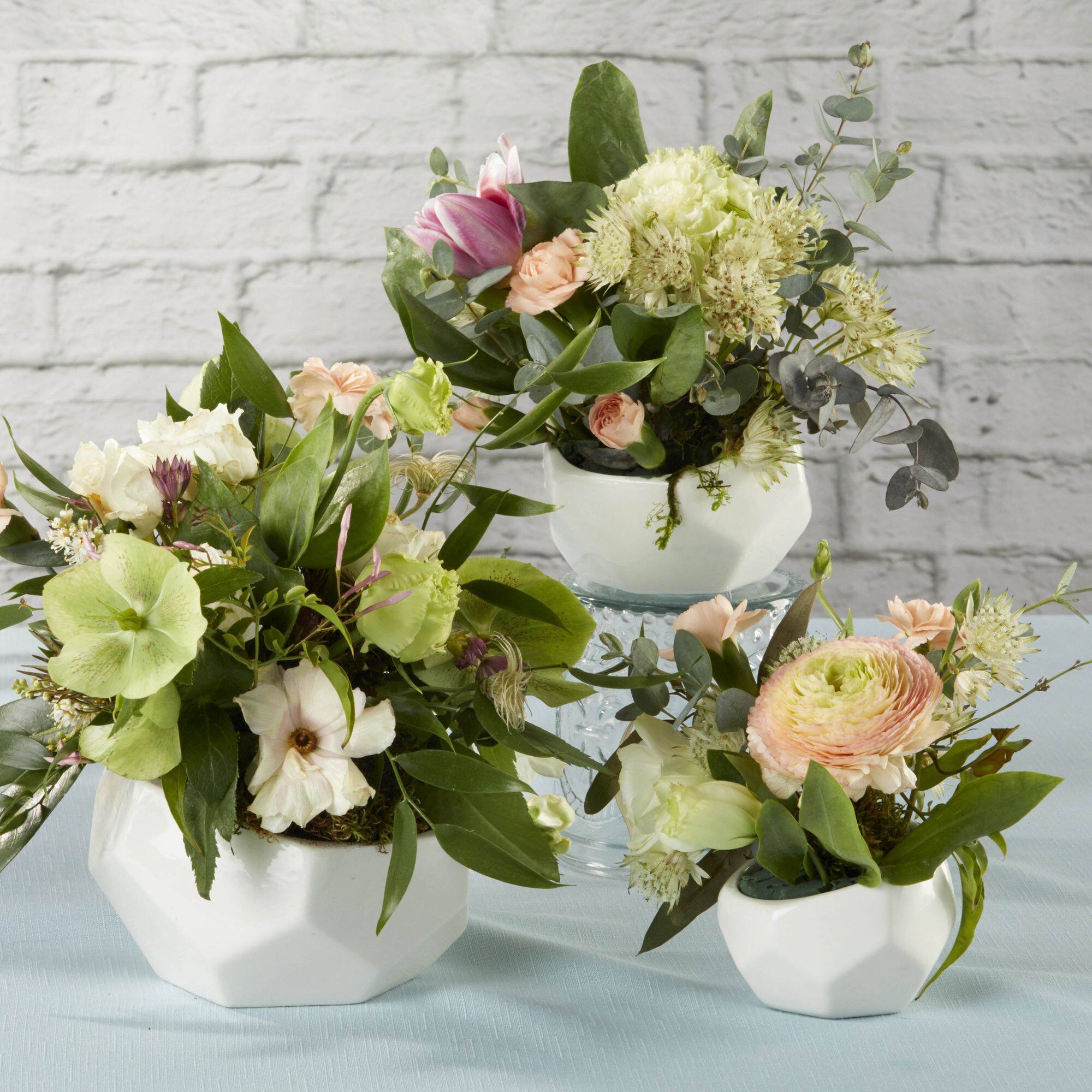 Kate Aspen Geometric Ceramic Planter Set