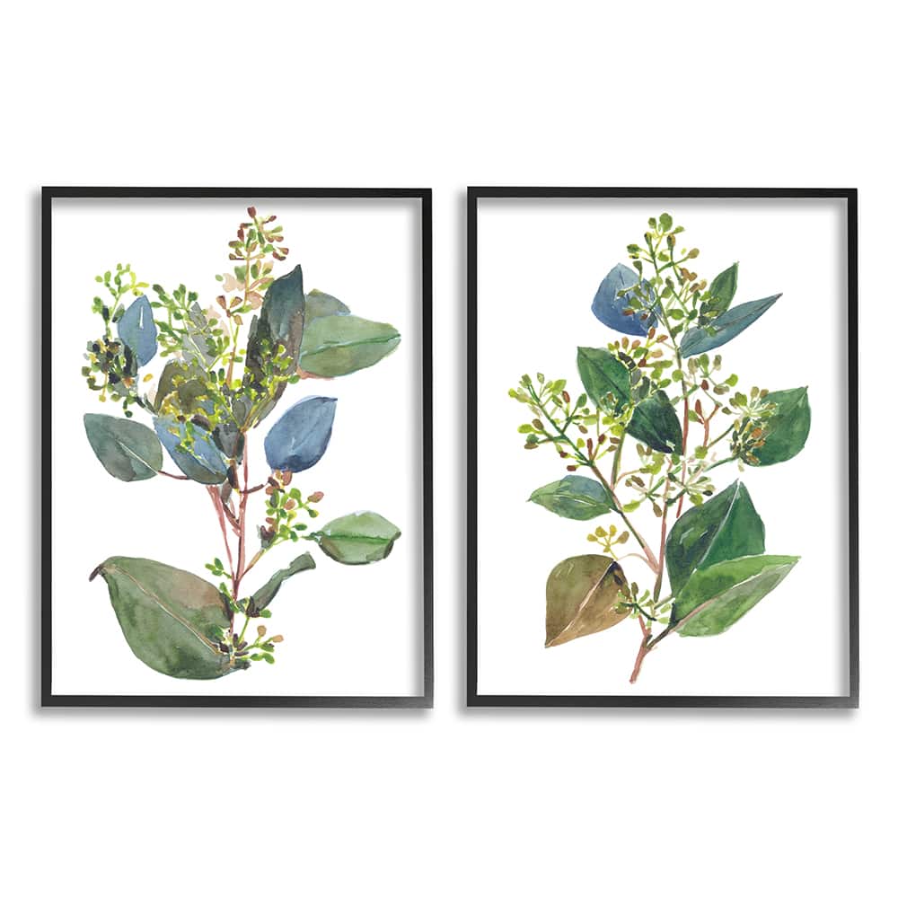 Stupell Industries Soft Eucalyptus Plant Blue Green Ombre Leaves Framed Wall Art