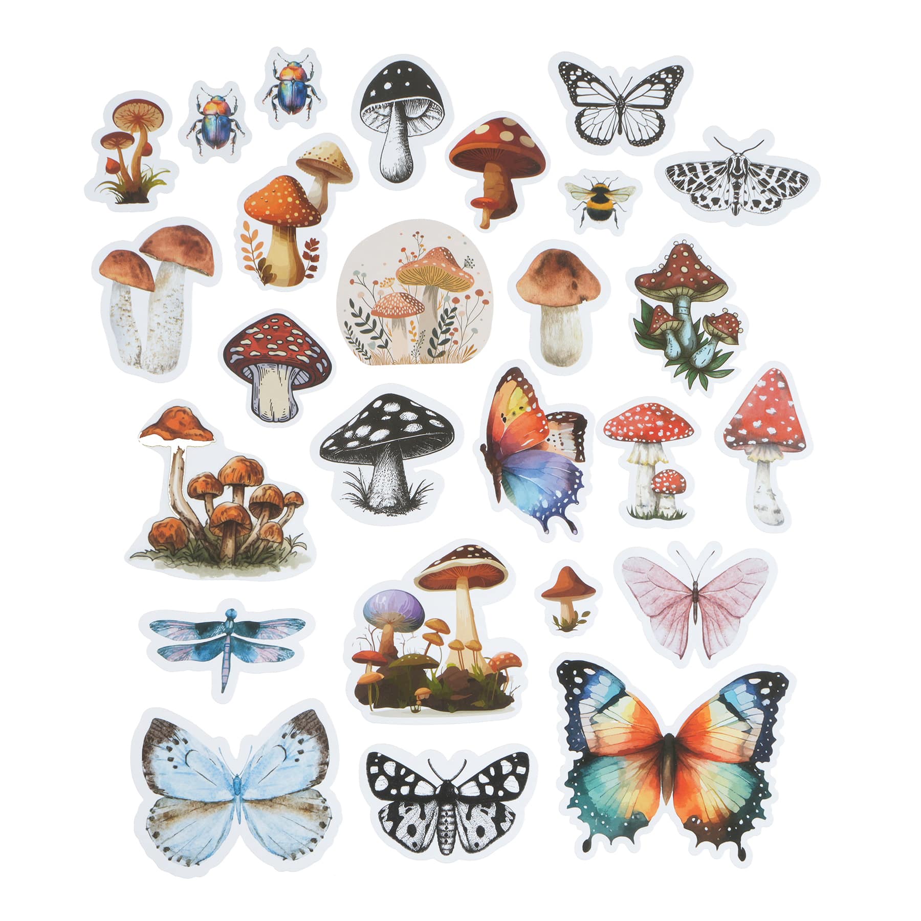 12 Pack: Nature Ephemera by Recollections™