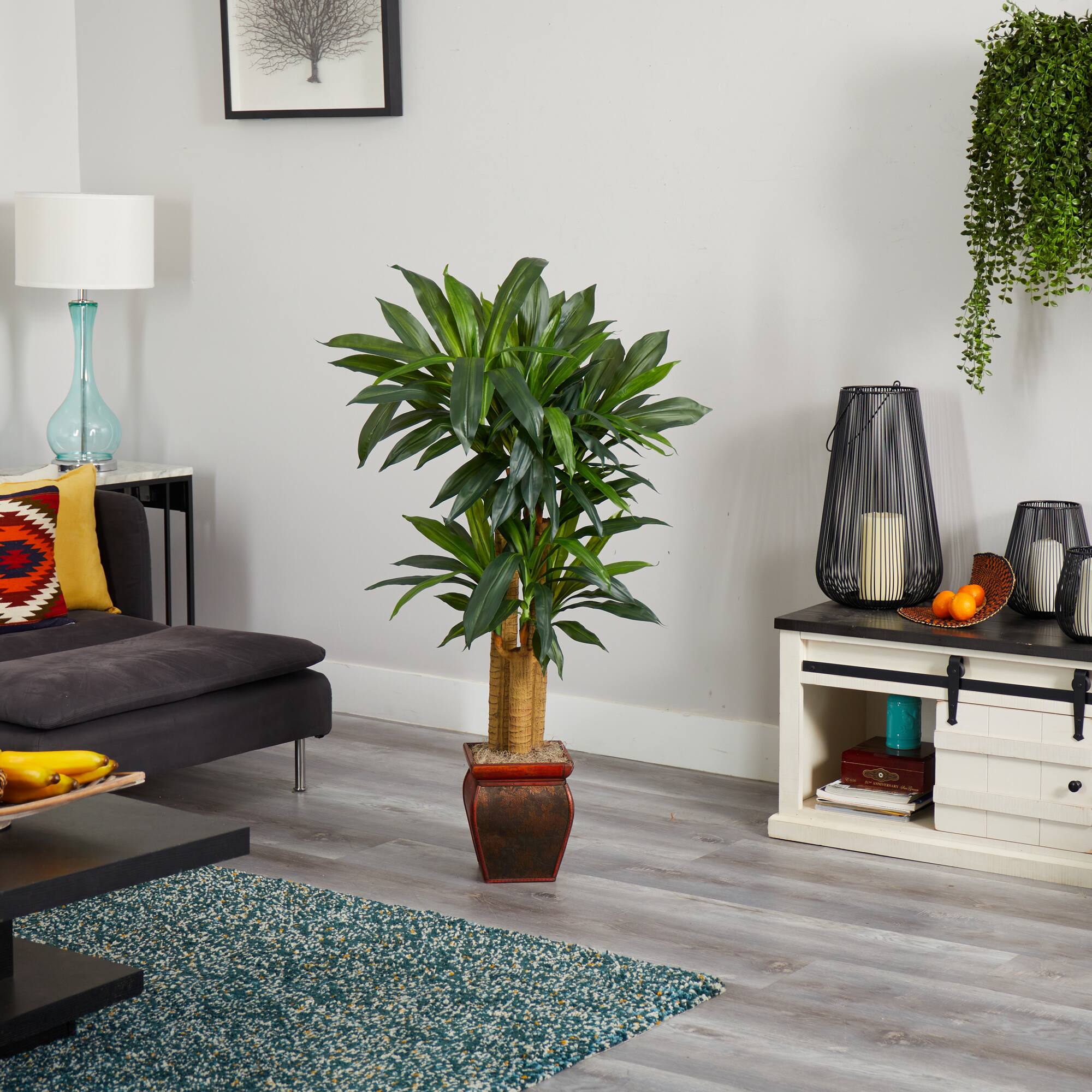 4.5ft. Cornstalk Dracaena In Vase