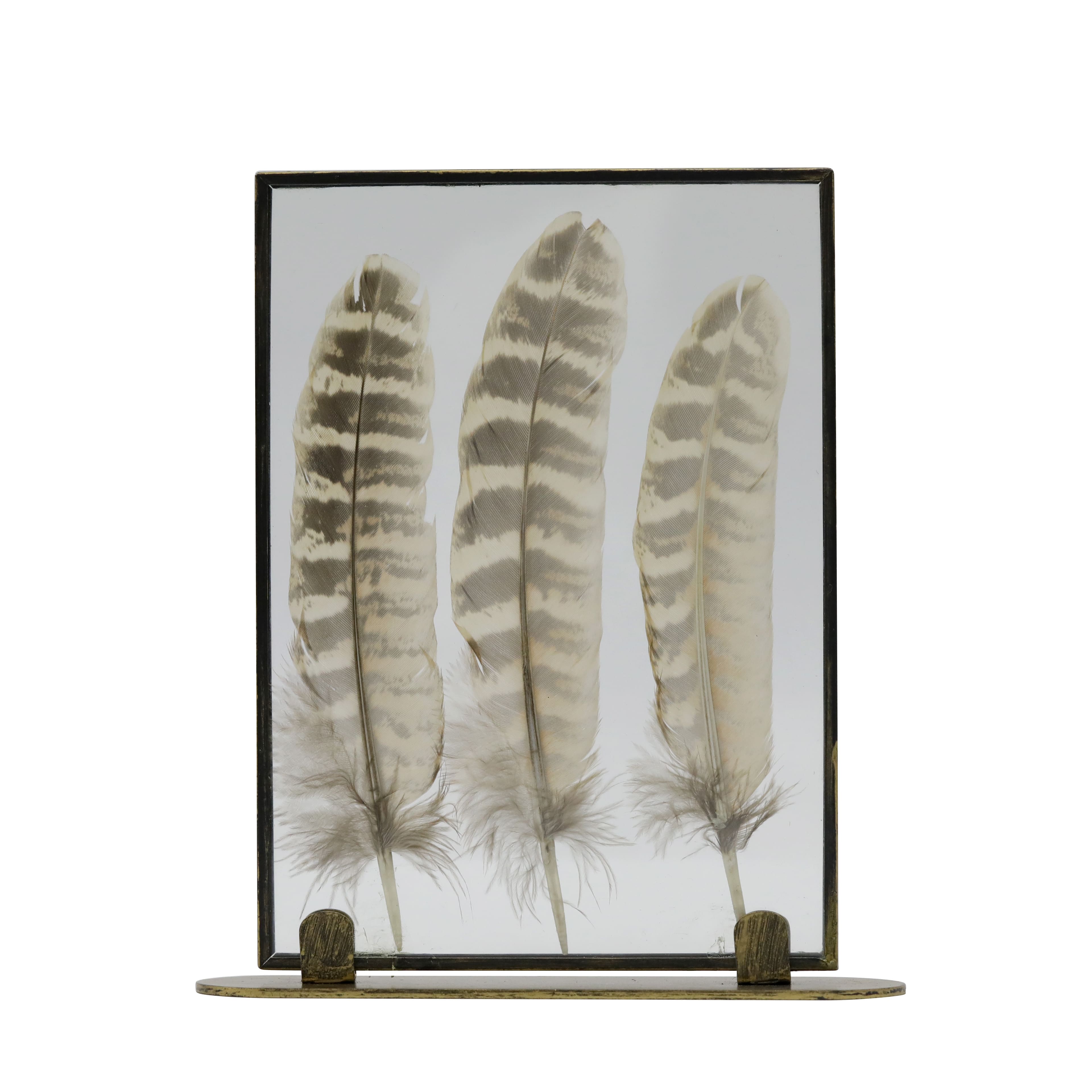 Framed Floating Feather Tabletop Décor by Ashland®