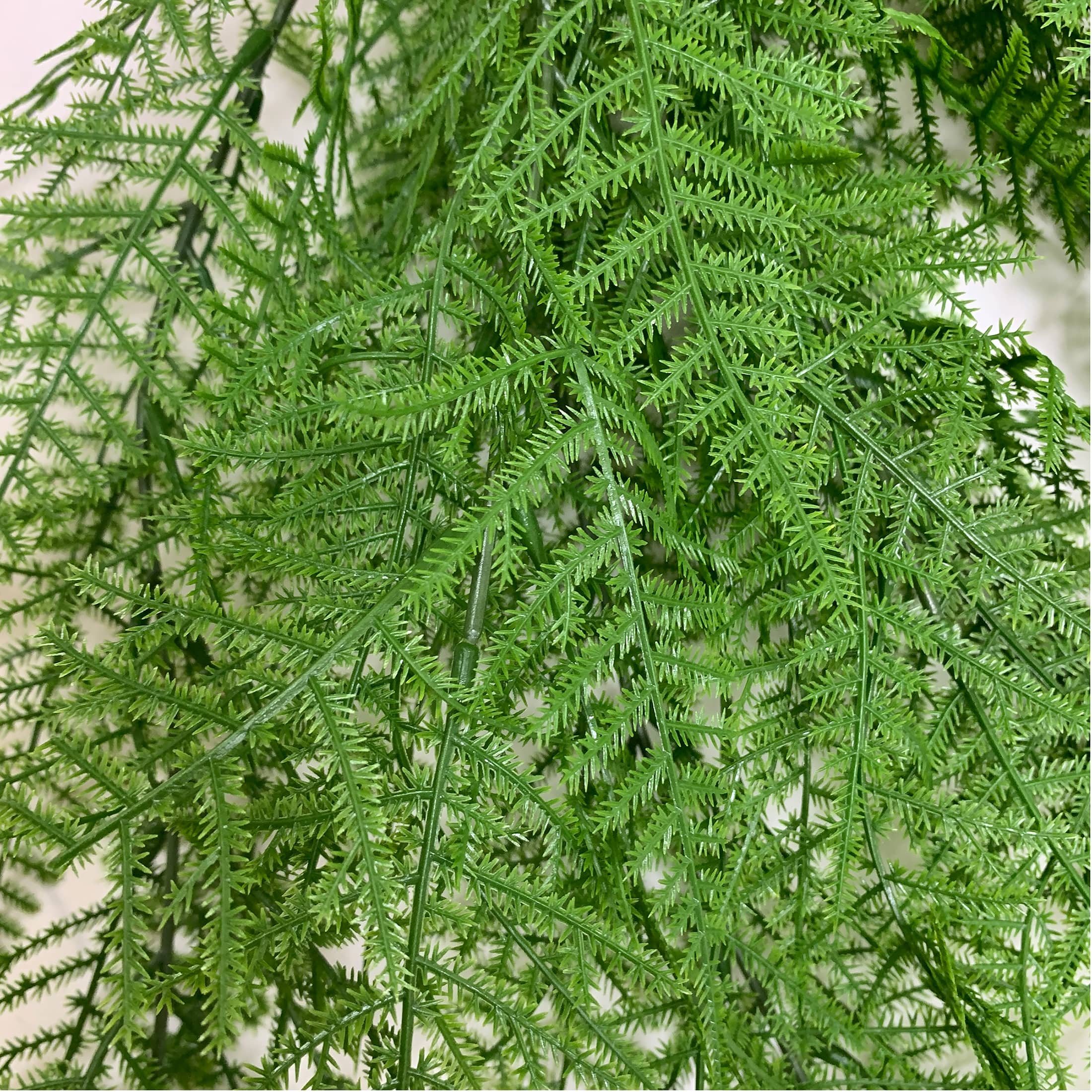 20" Green Asparagus Fern Bush by Ashland®