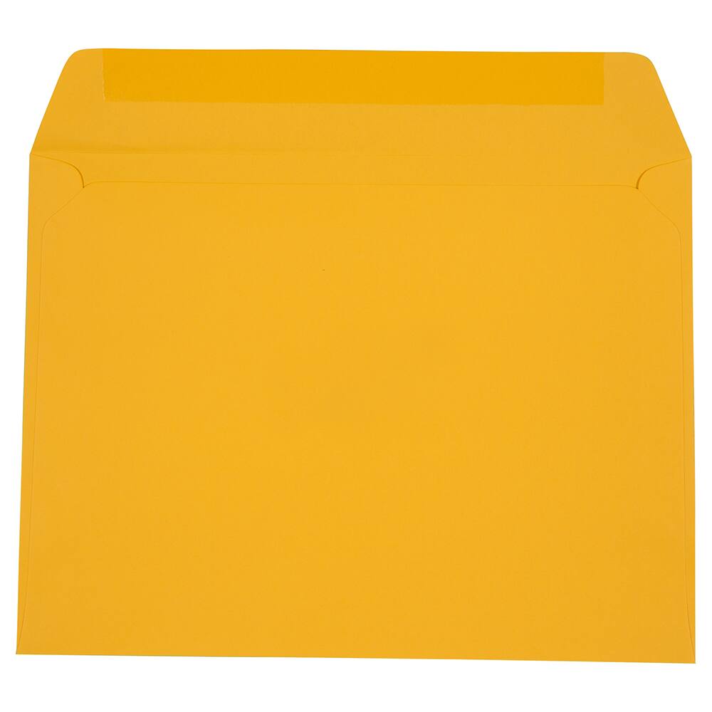 JAM Paper 9" x 12" Booklet Premium Envelopes, 25ct.