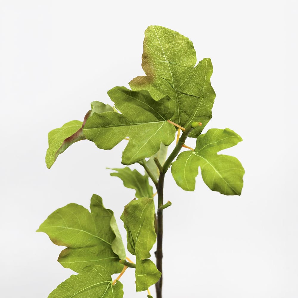 Prestige Botanicals 39" Artificial Fig Leaf Branch Stem