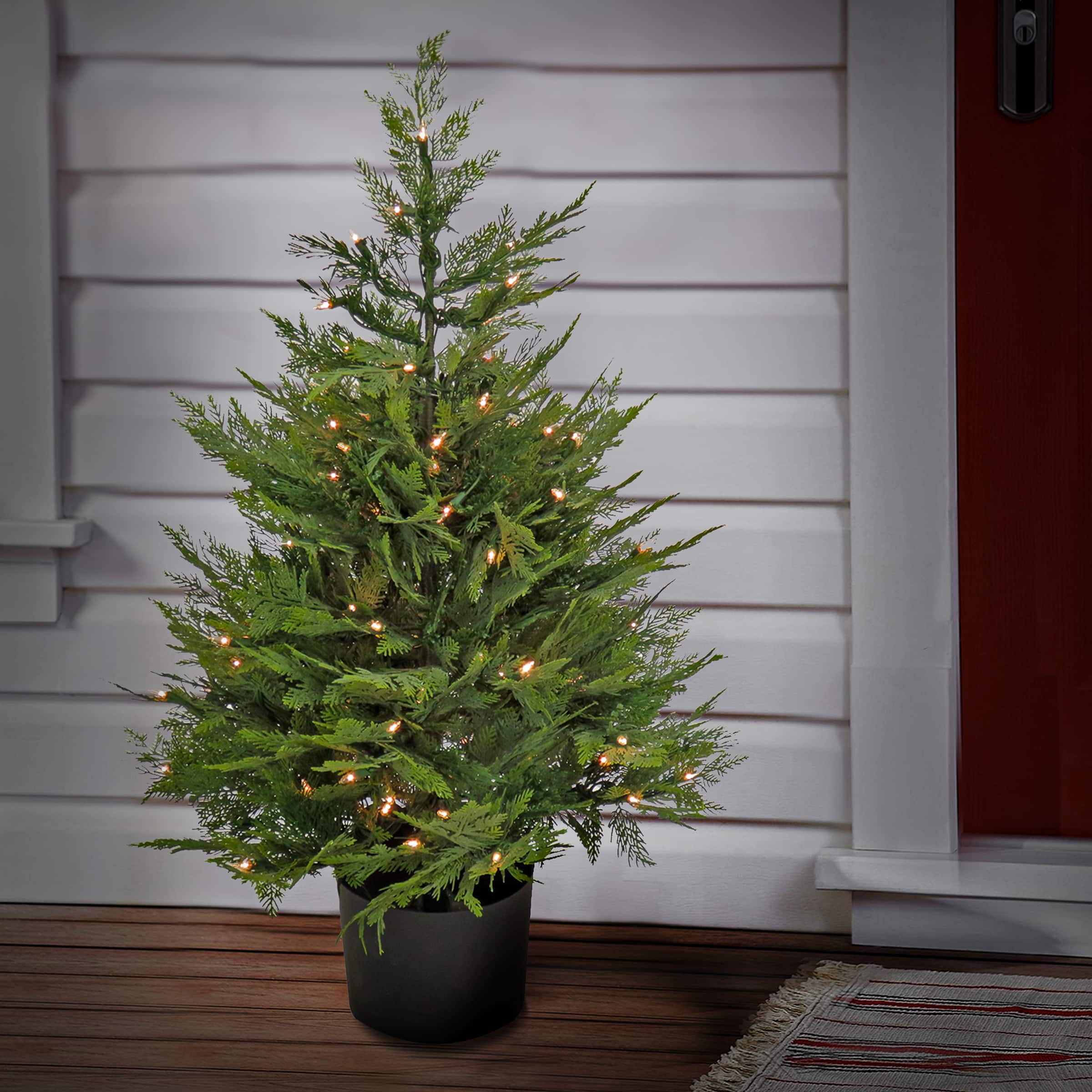 3ft. Pre-Lit Cypress Tree In Nursery Pot