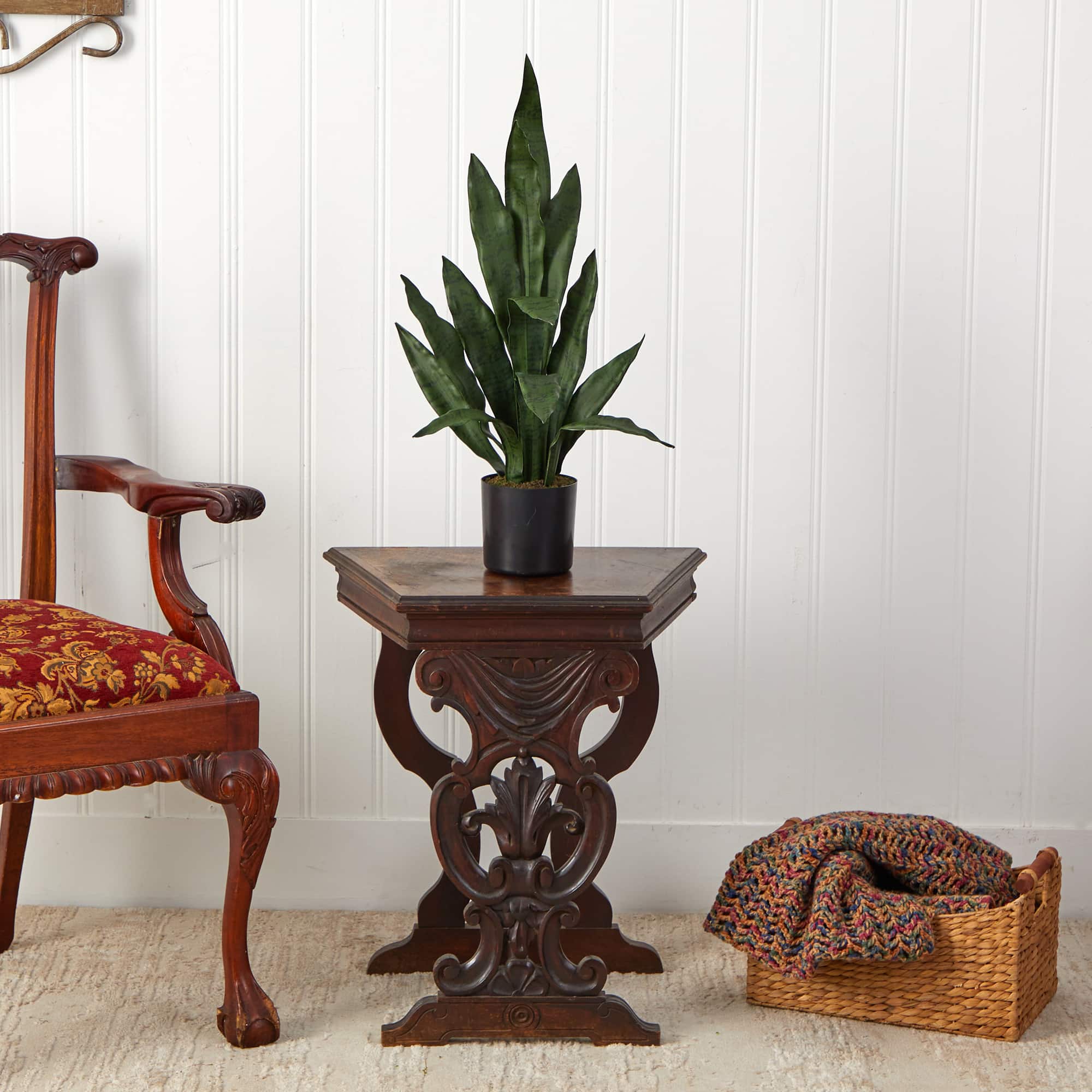 2ft. Potted Snake Plant