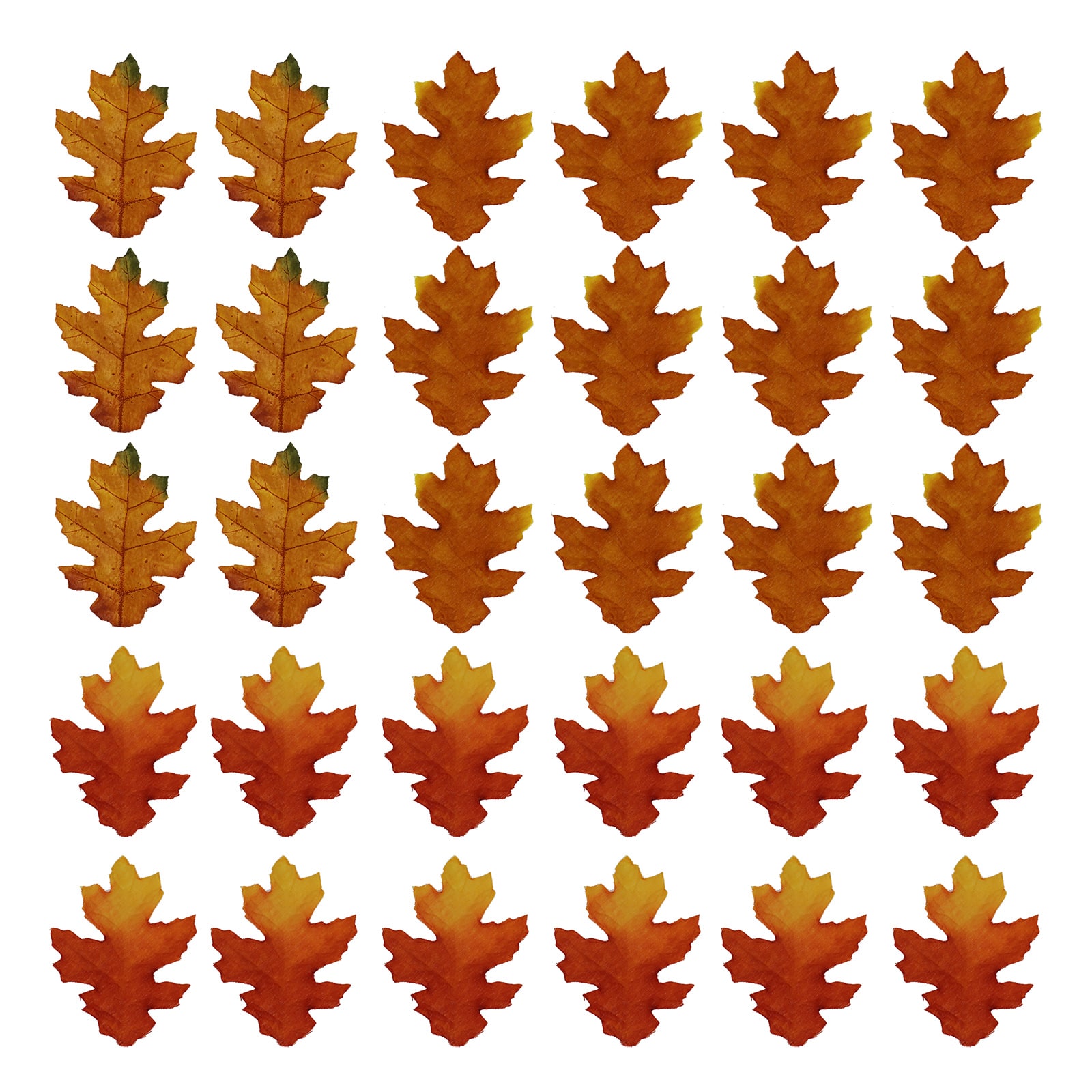 Brown, Orange & Yellow Maple Leaves by Ashland®