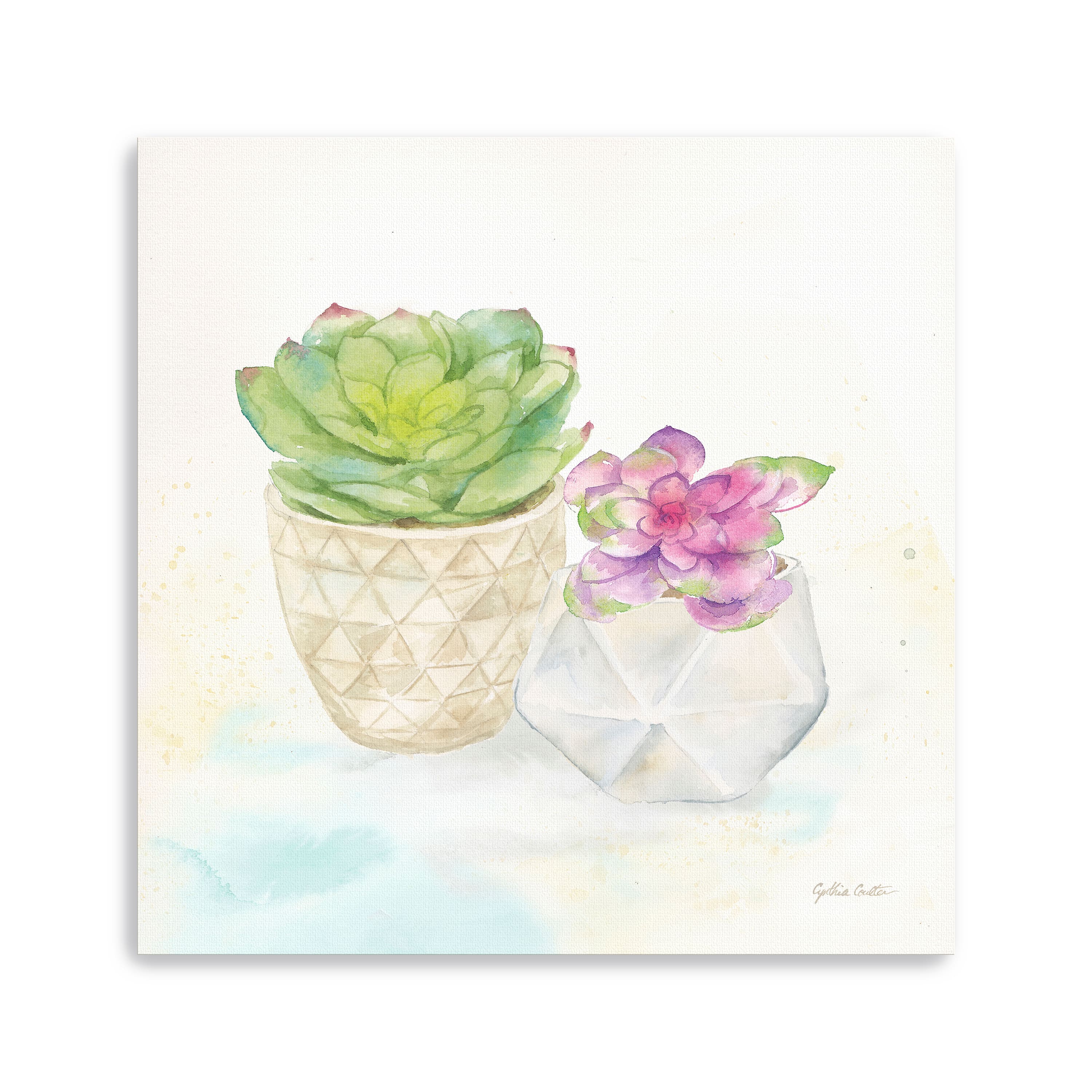 Sweet Succulent Pots III Canvas Giclee