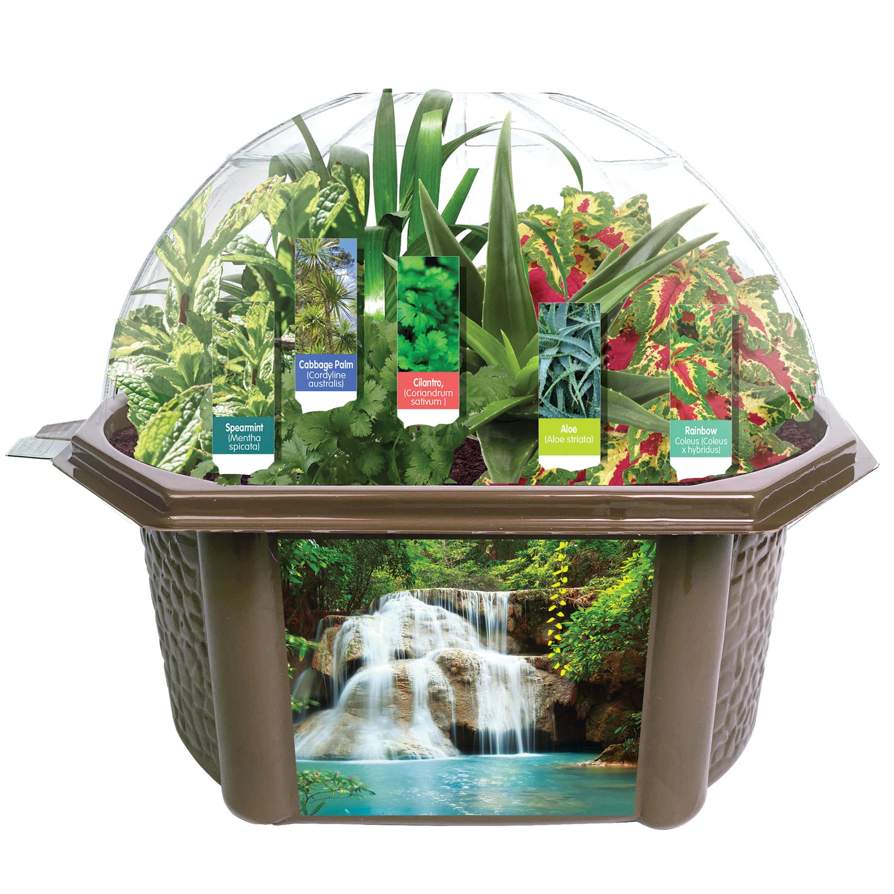 Fernroot Sensory Biosphere Set