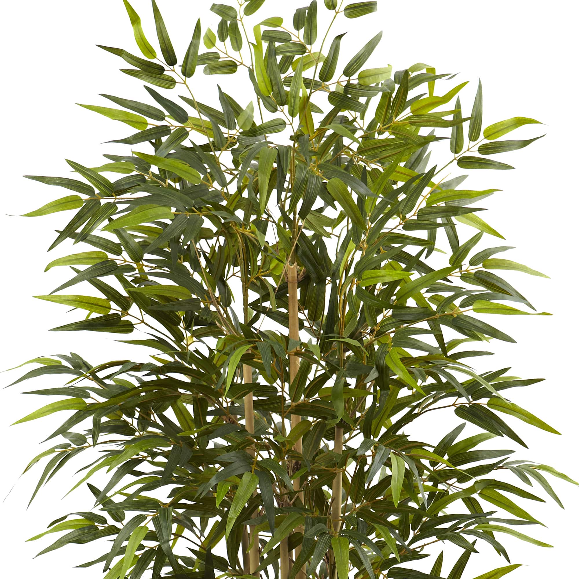6ft. Bamboo Tree with Red Decorative Planter